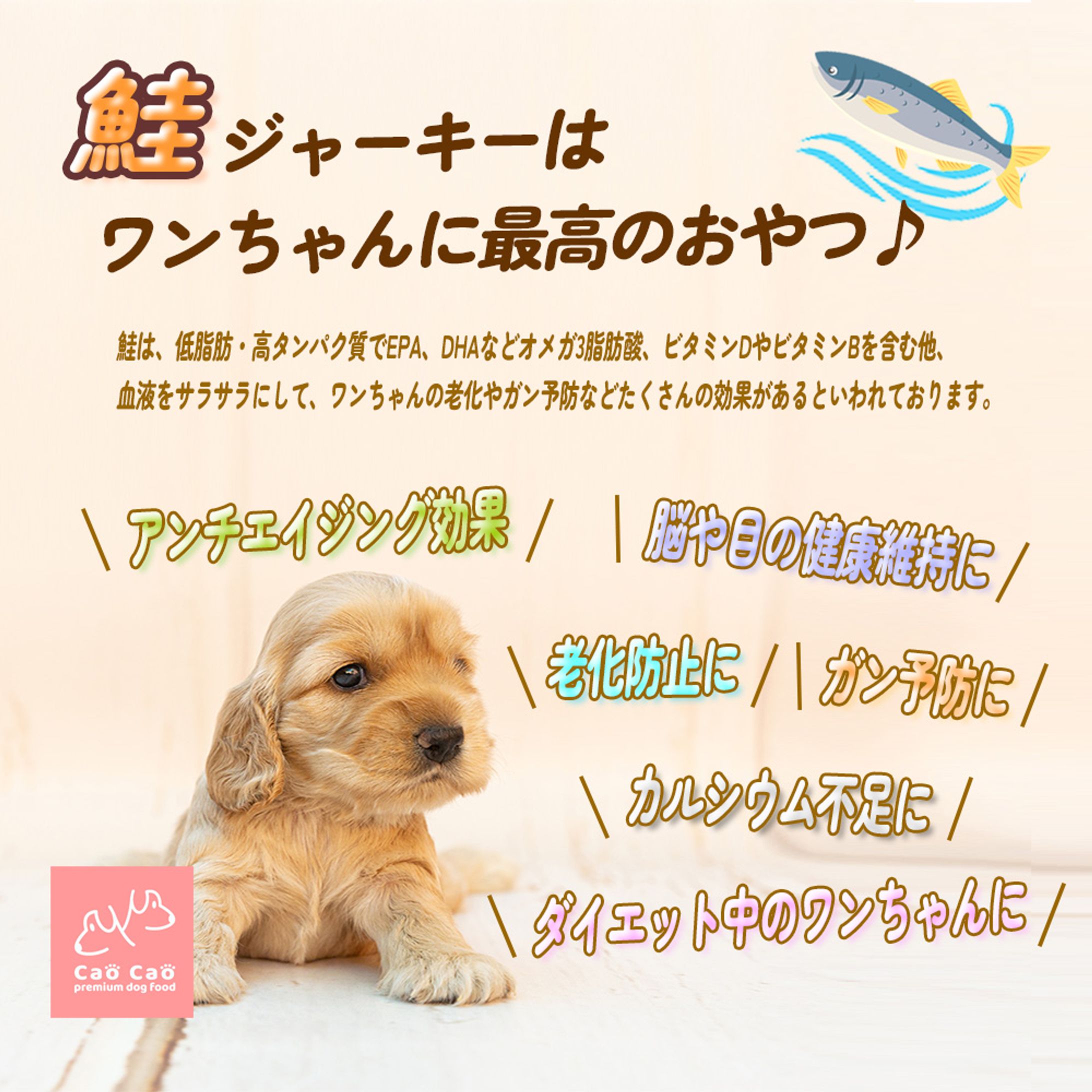 ペットフード LP制作1-1