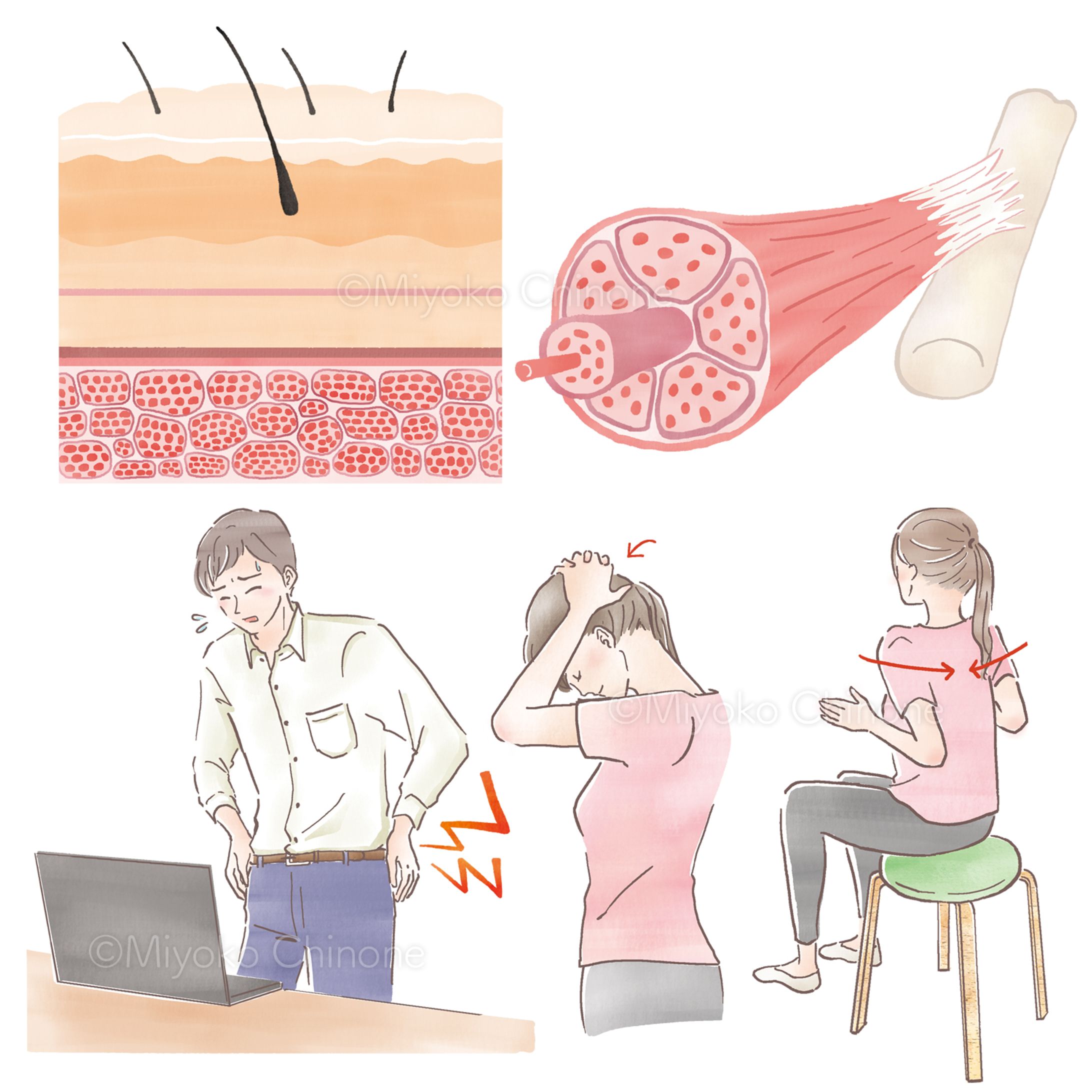 公立学校共済組合　広報誌「共済フォーラム2023年6月号」中ページカットイラスト-1