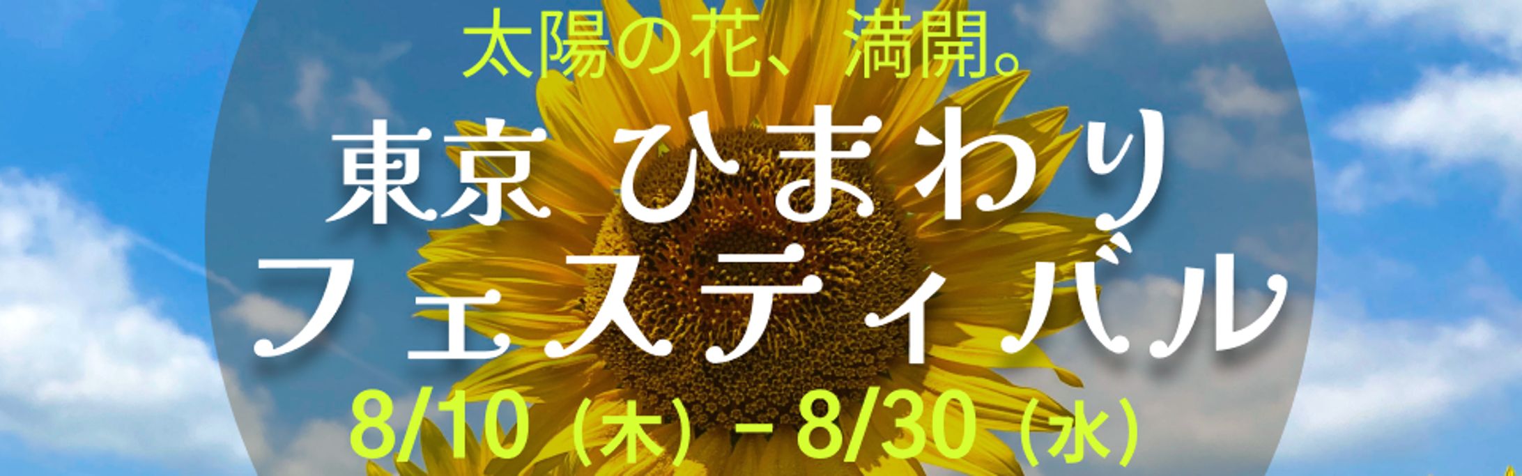 バナー　ひまわり-1