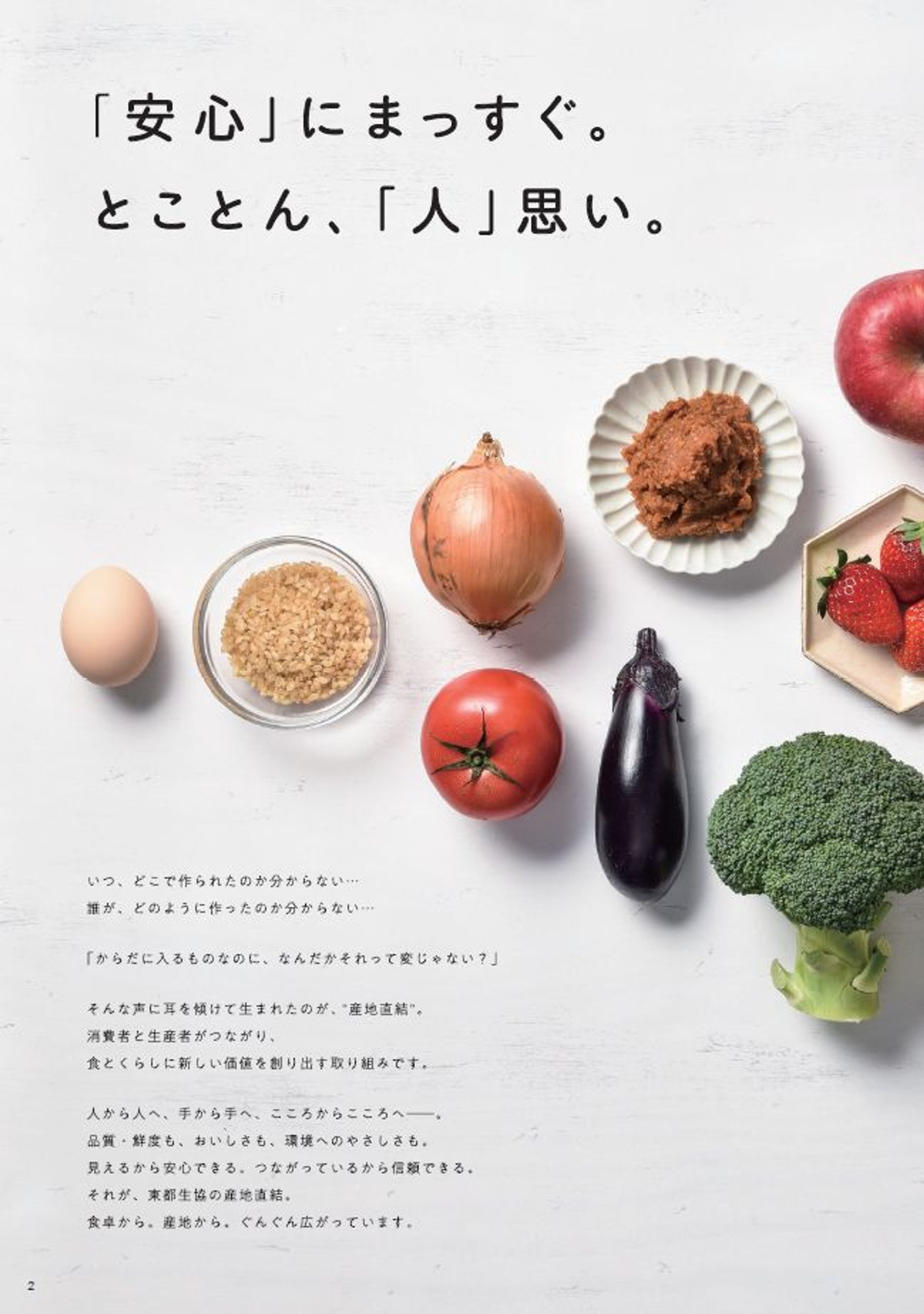 生活協同組合「東都生協」のブランディングツール-1