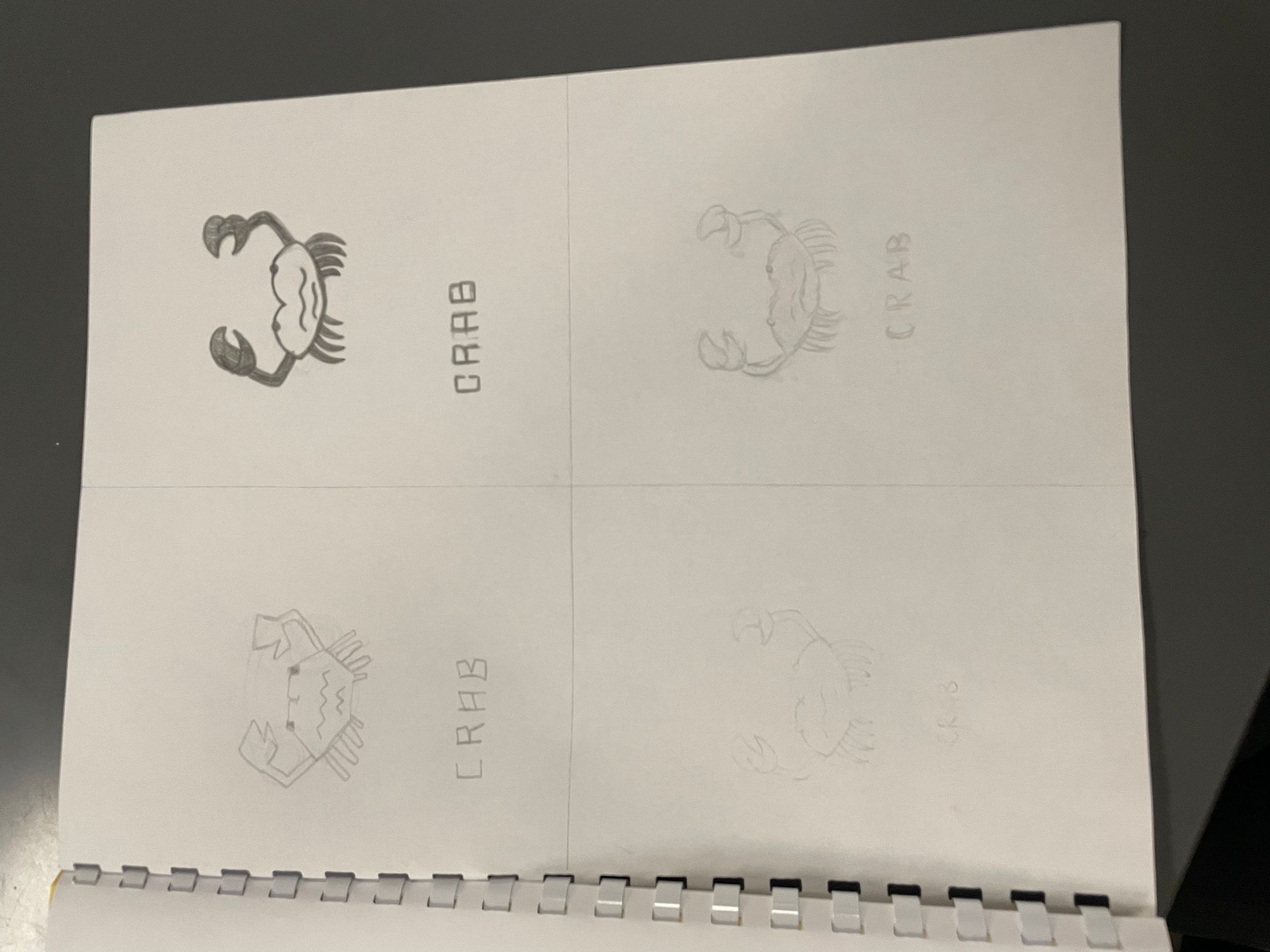 Zodiac drawing-1