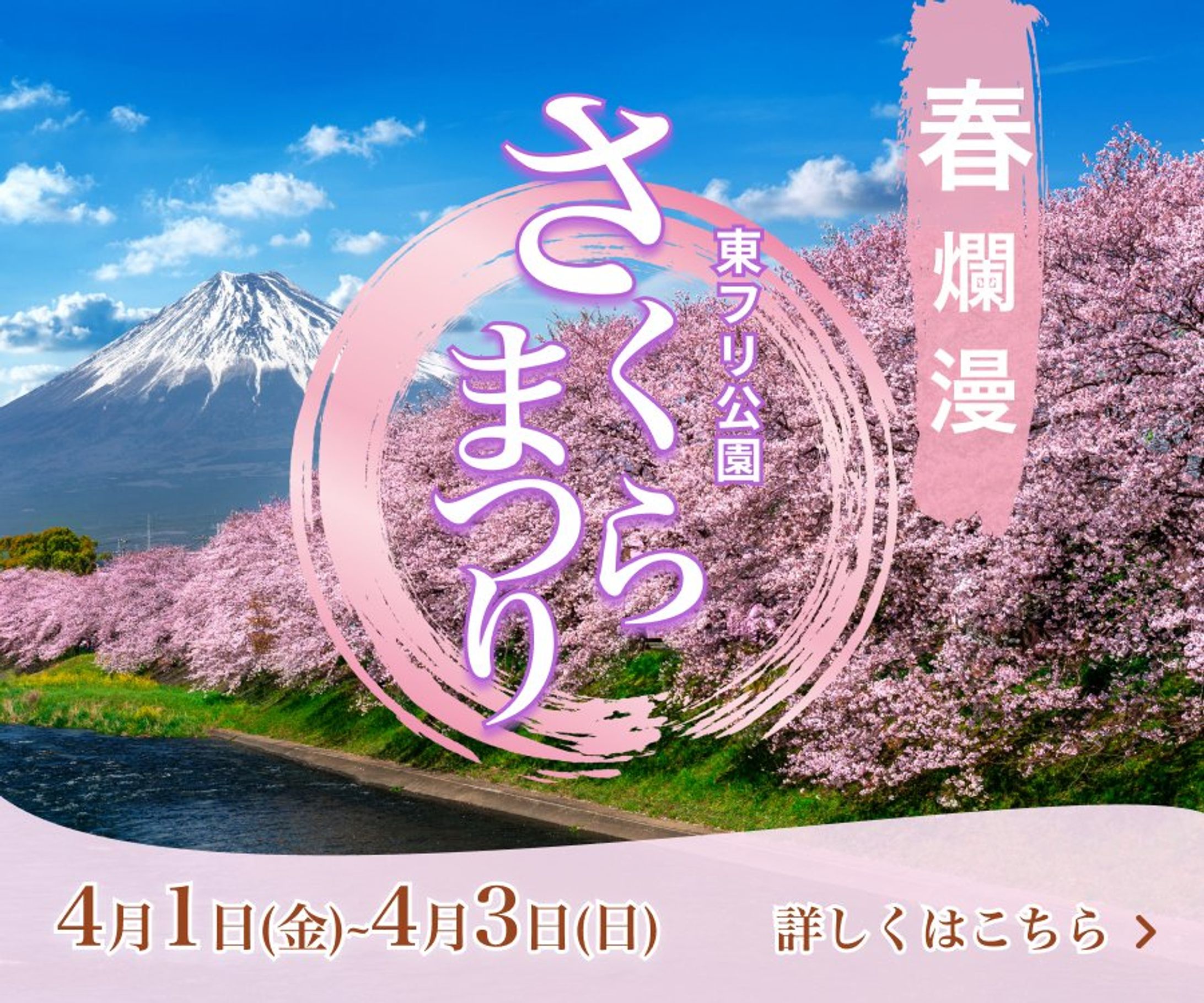 桜祭り　バナー-1
