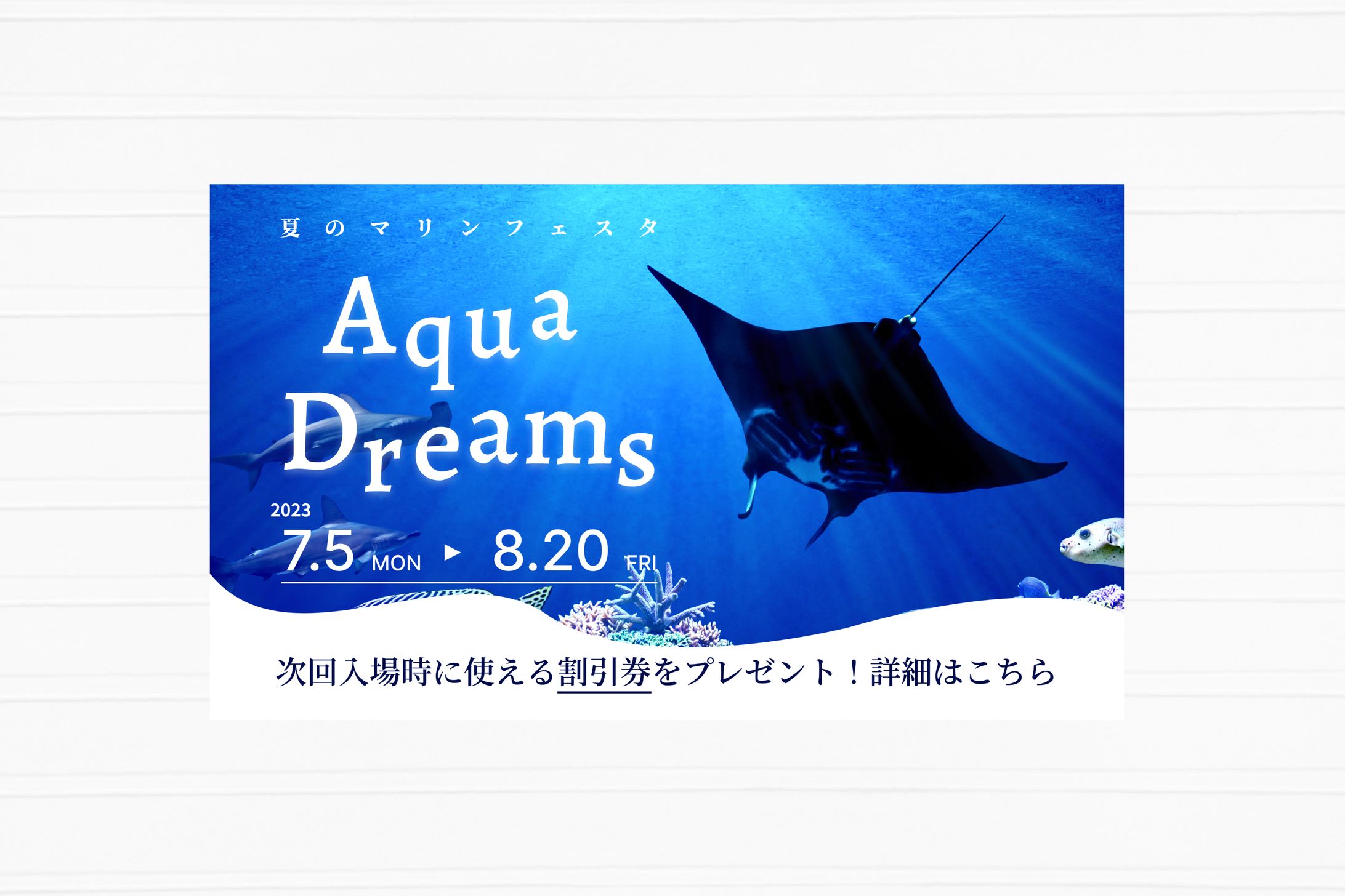 バナー/水族館-1