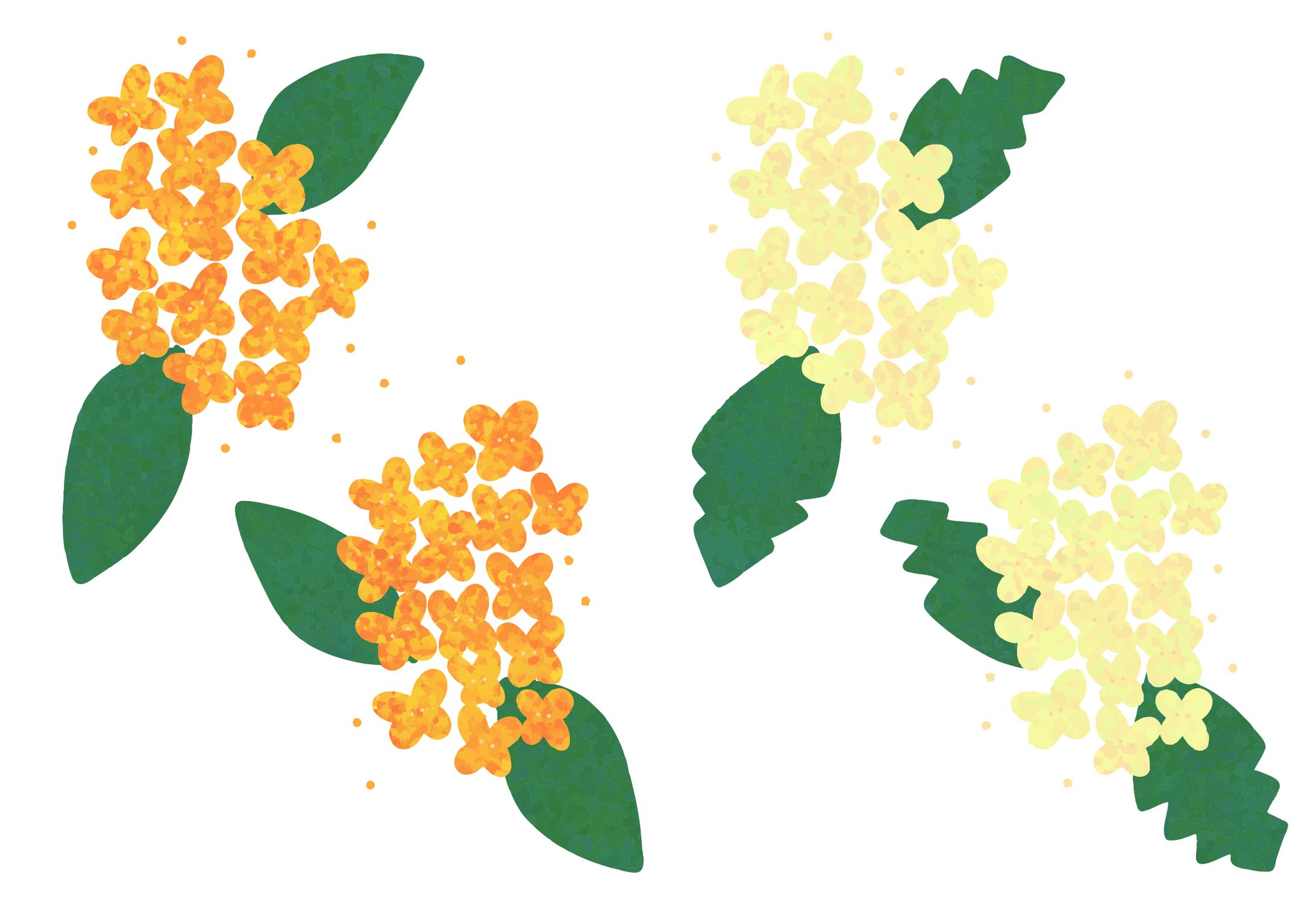 金木犀・銀木犀-1