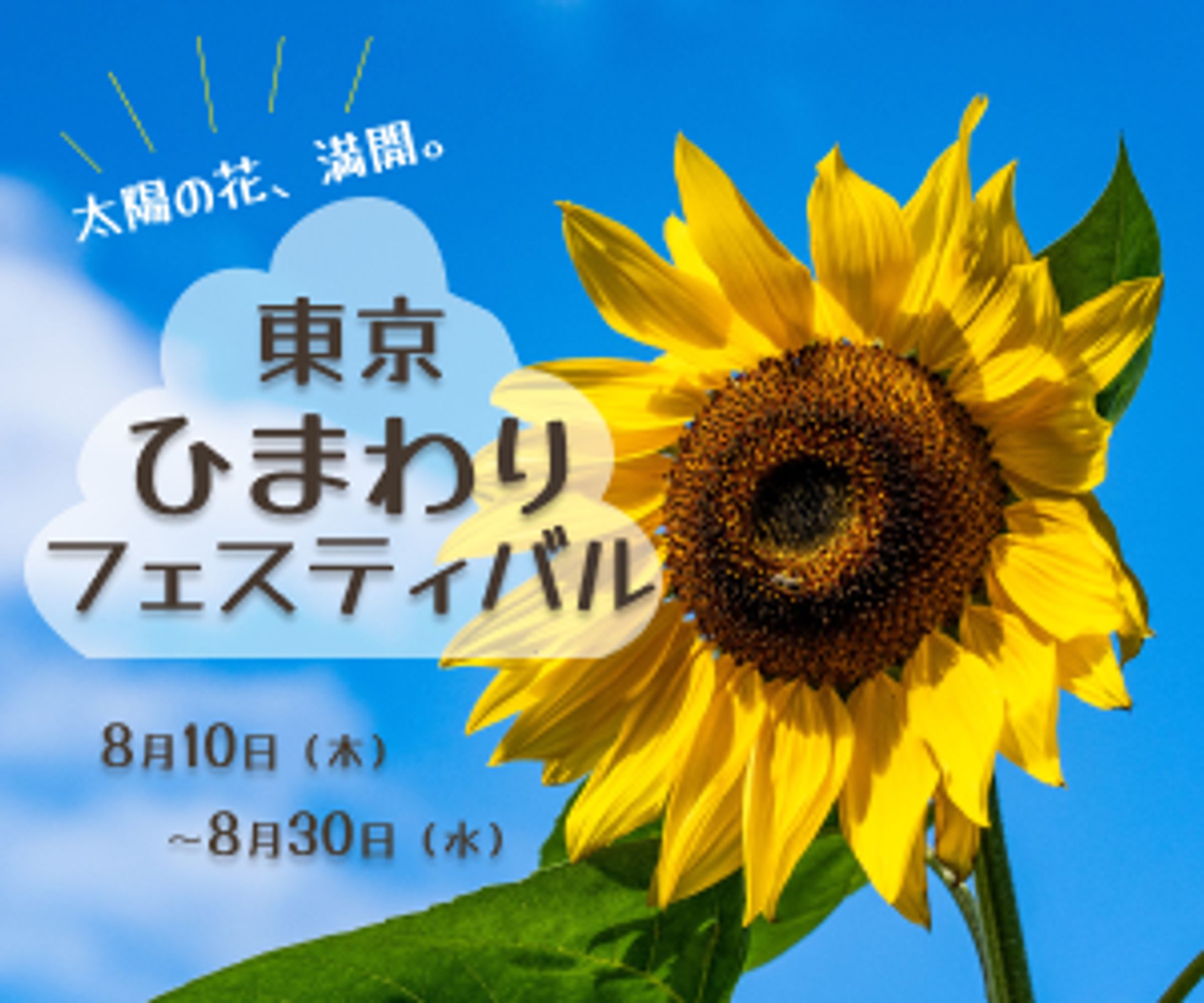 ひまわりフェスティバル-1