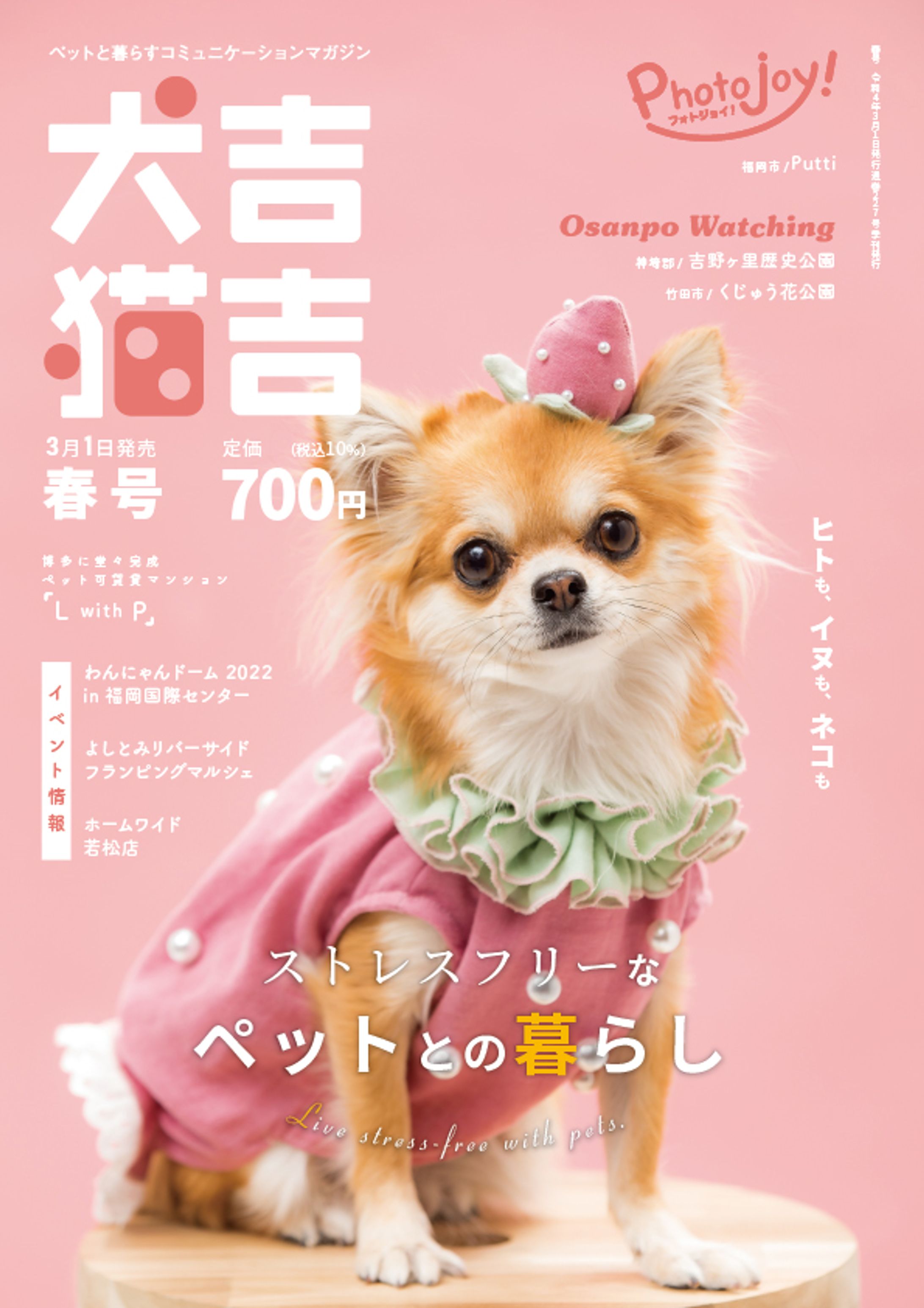 福岡発行の雑誌制作-1