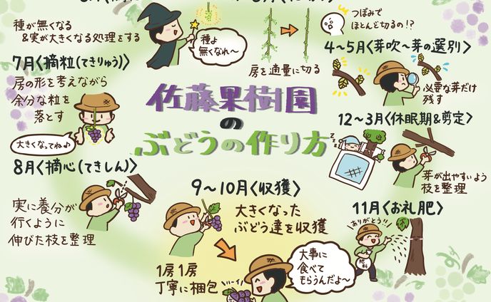 商品封入用グラレコ