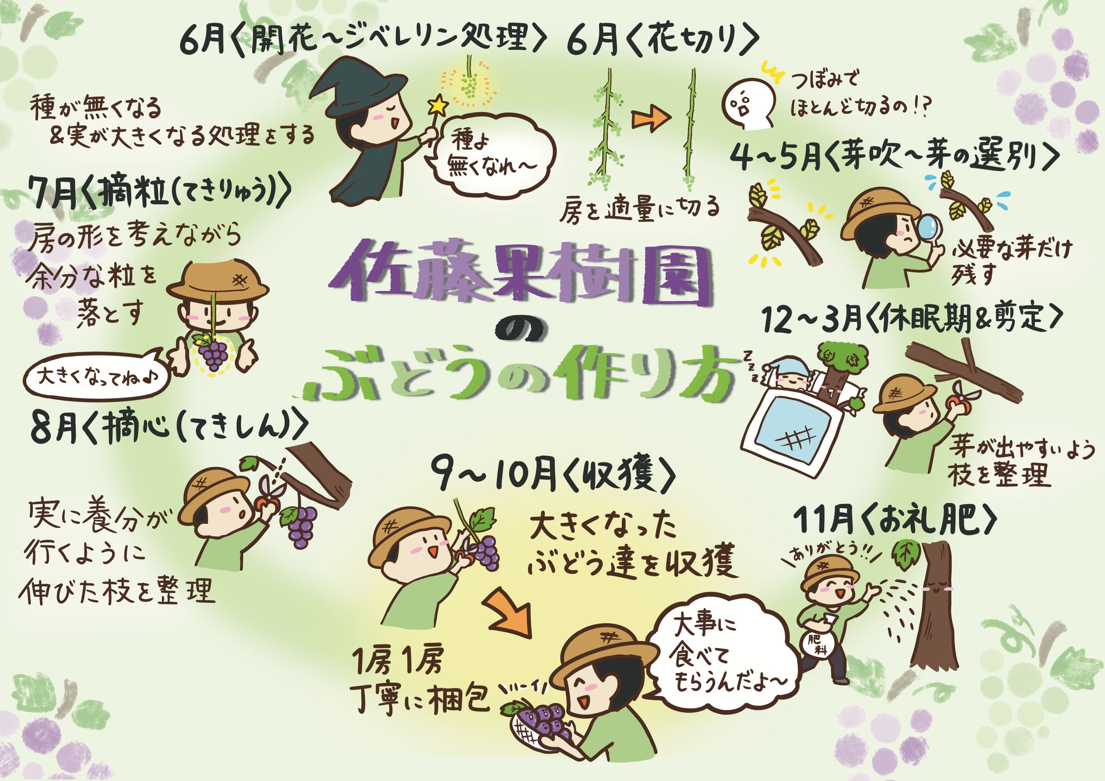 商品封入用グラレコ-1