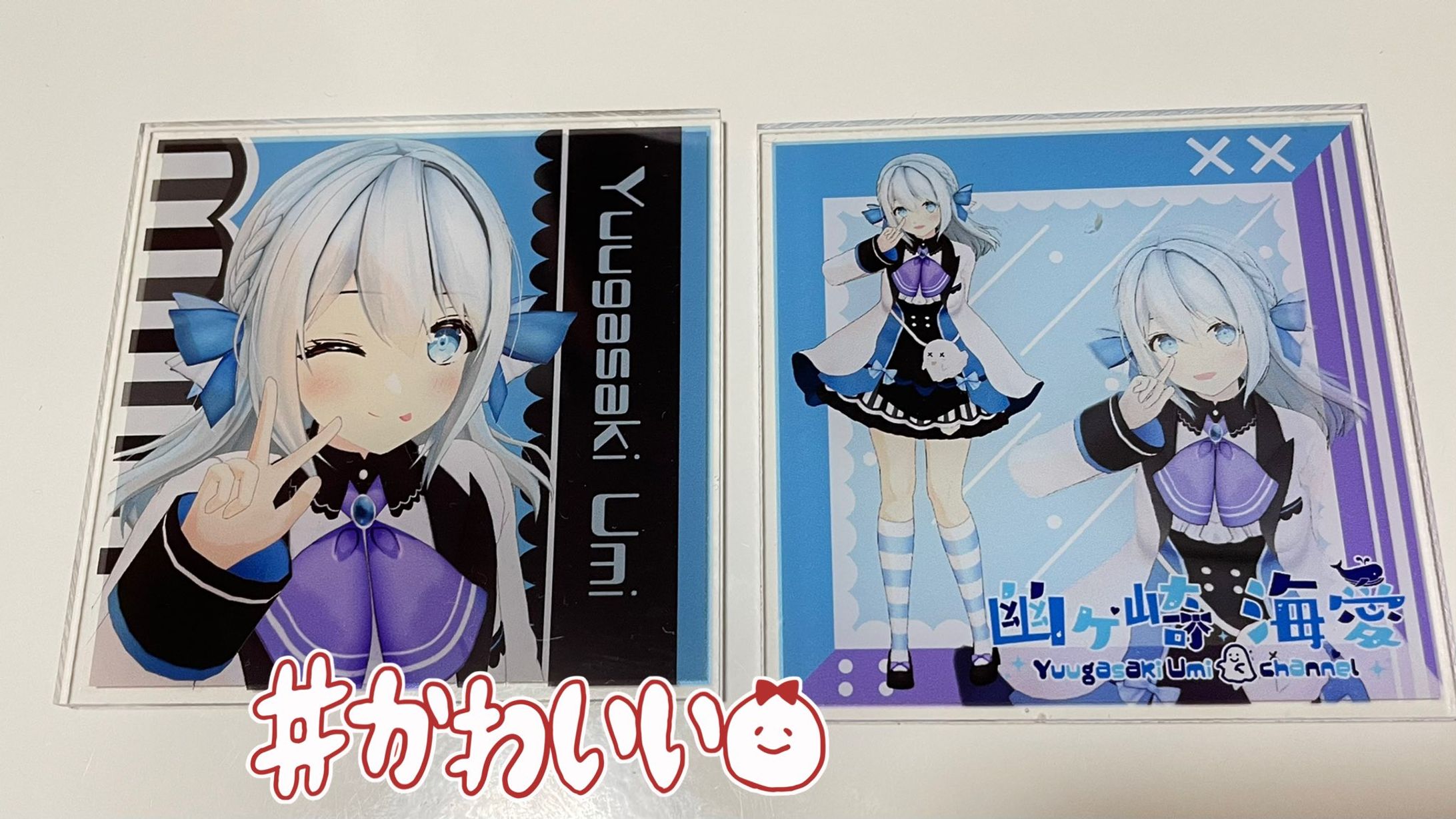 V_MANI vフォト販売-1