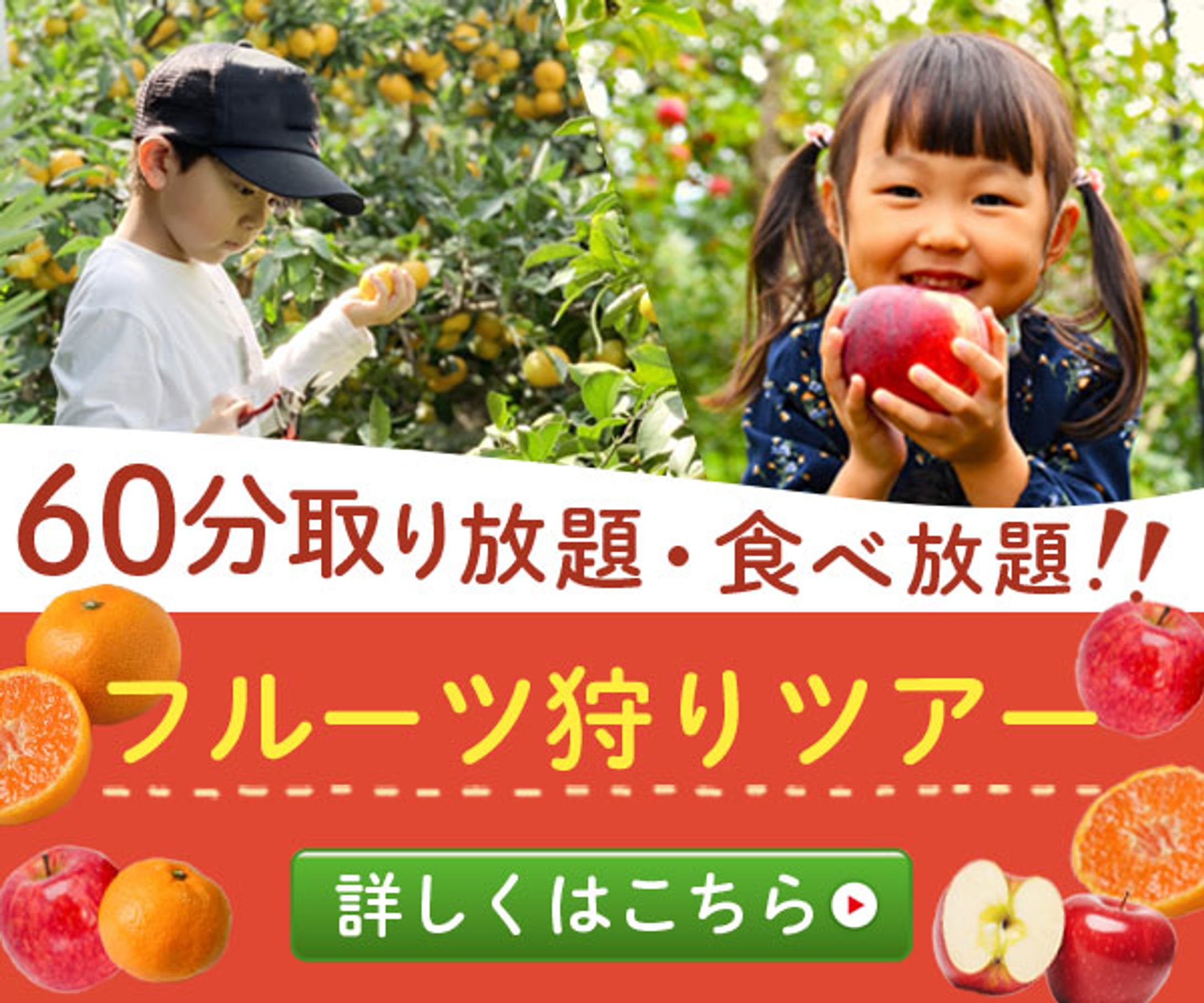 フルーツ狩りツアー-1