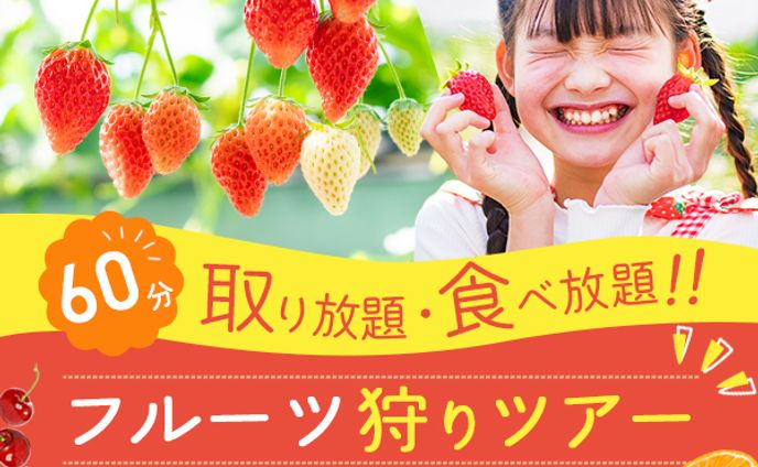 バナー制作：フルーツ狩り