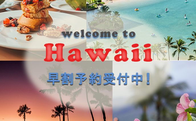 ハワイ旅行バナー