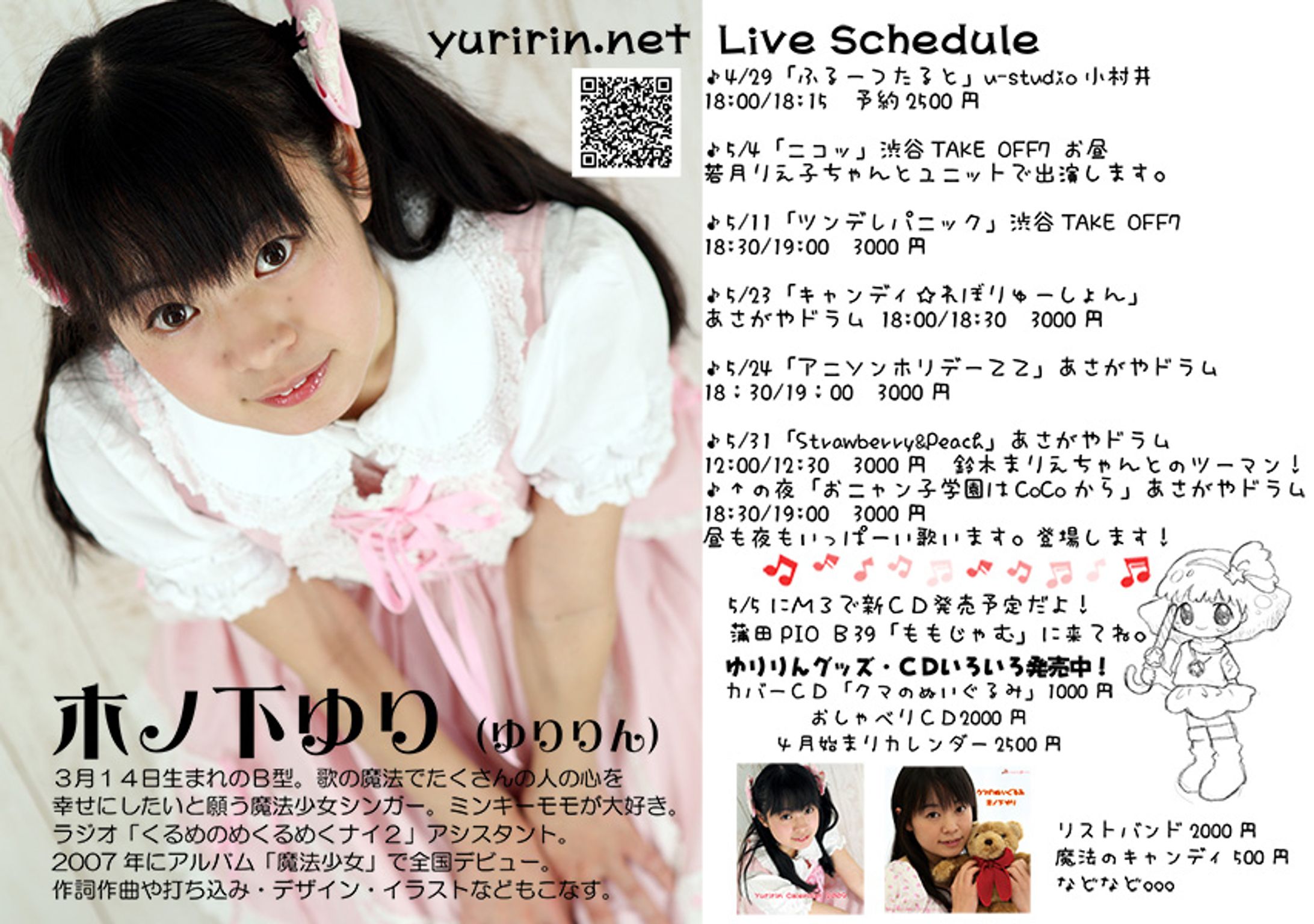 2009自己紹介フライヤー-1