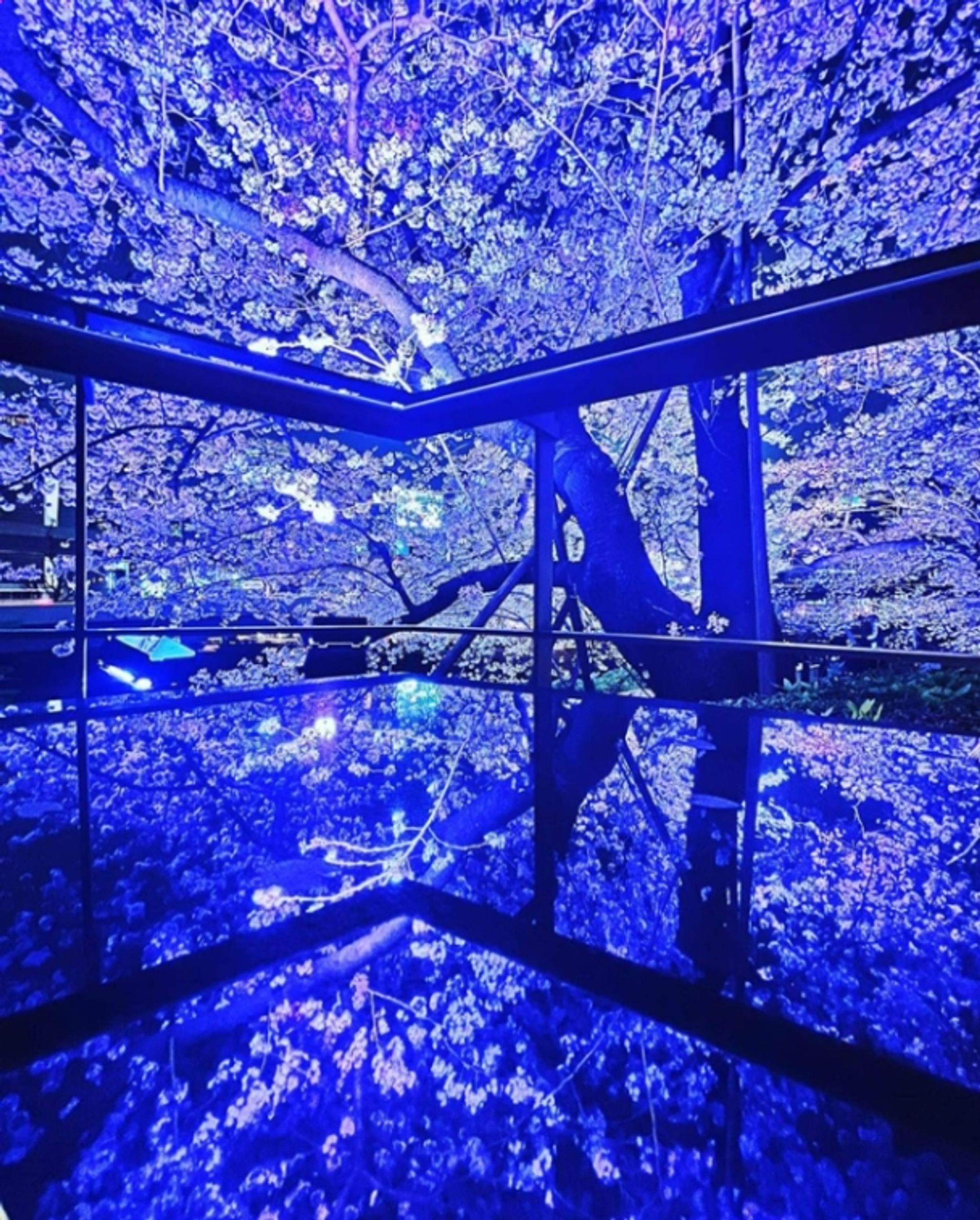 赤坂の瑠璃光院-1