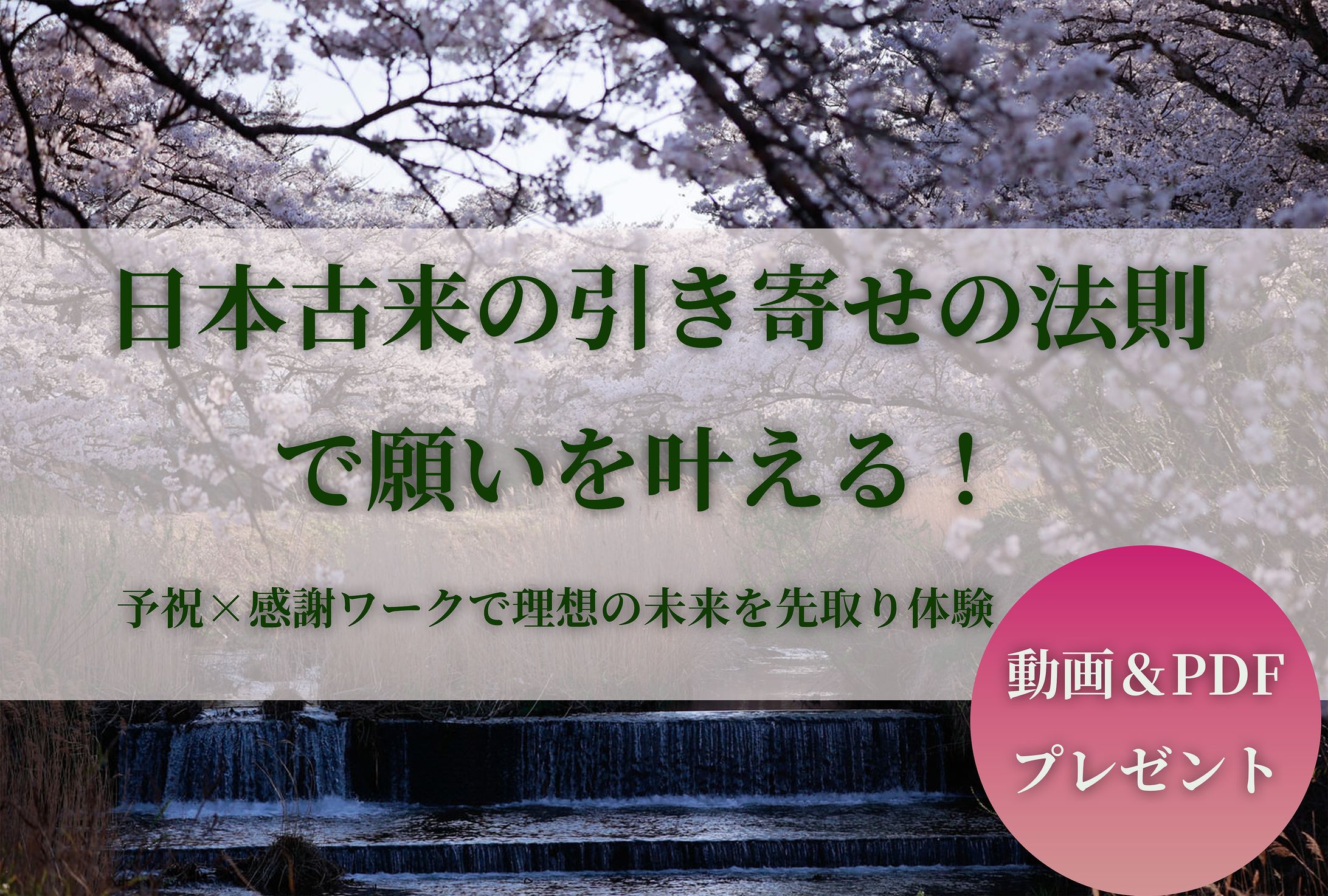 プレゼント広告-1