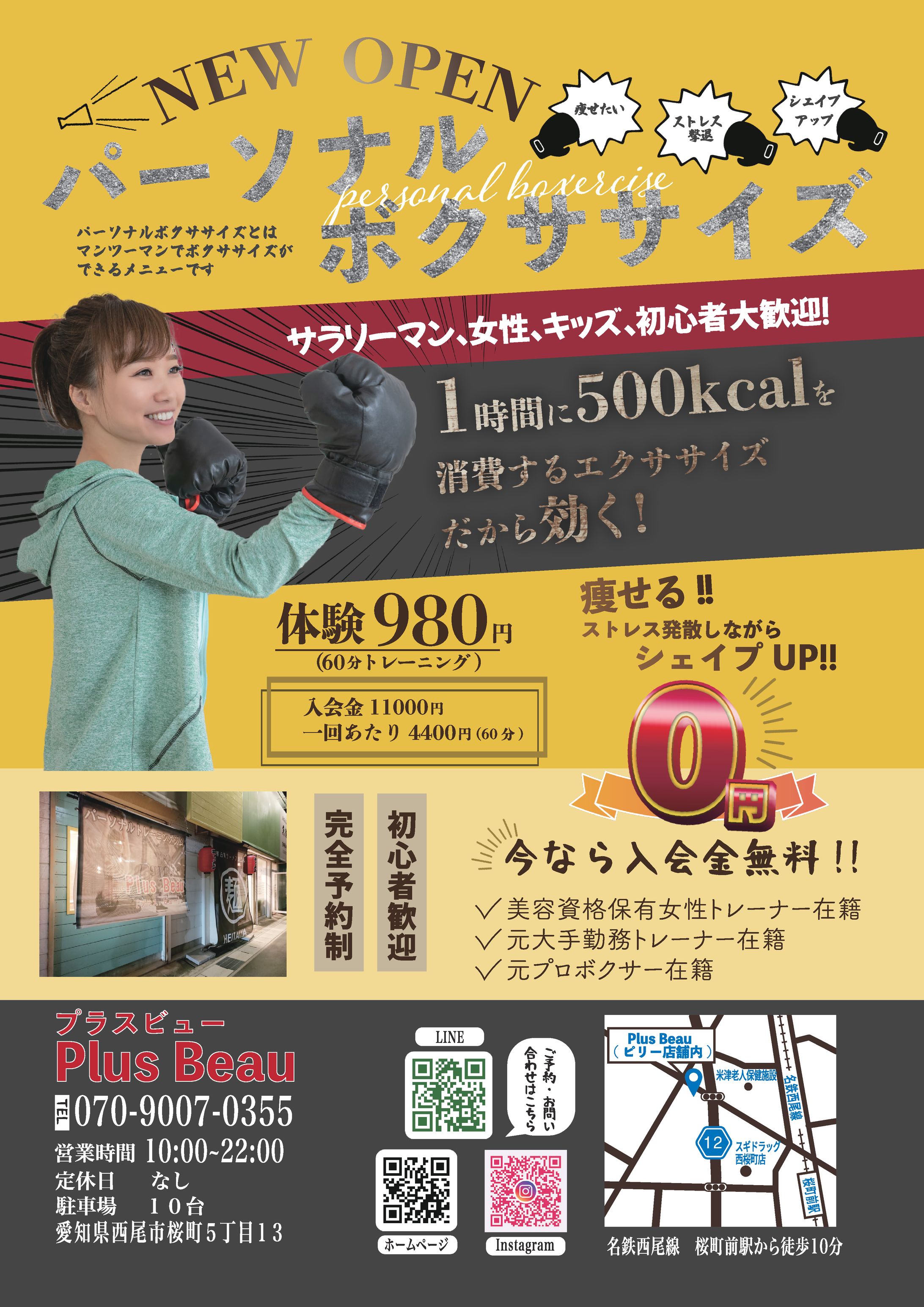 「実績」パーソナルボクササイズ チラシ-1