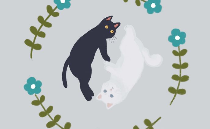 猫のアイコンたち