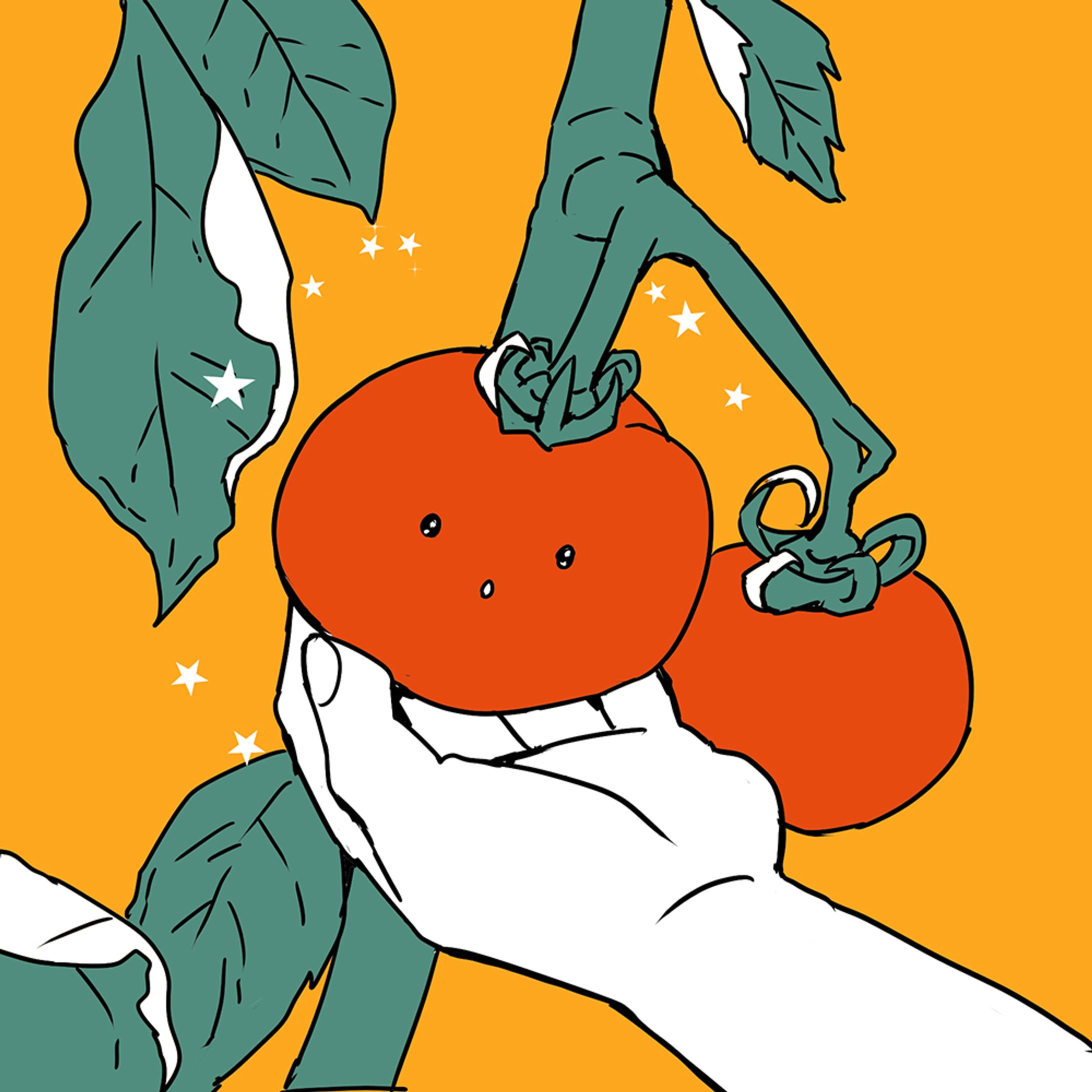 トマトちゃん🍅-1