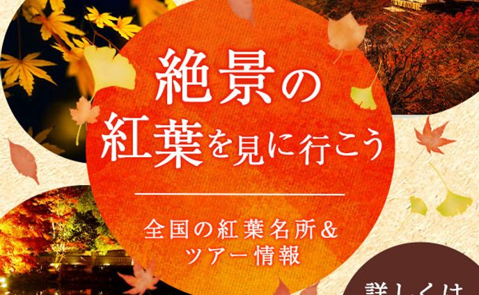 【バナー】紅葉