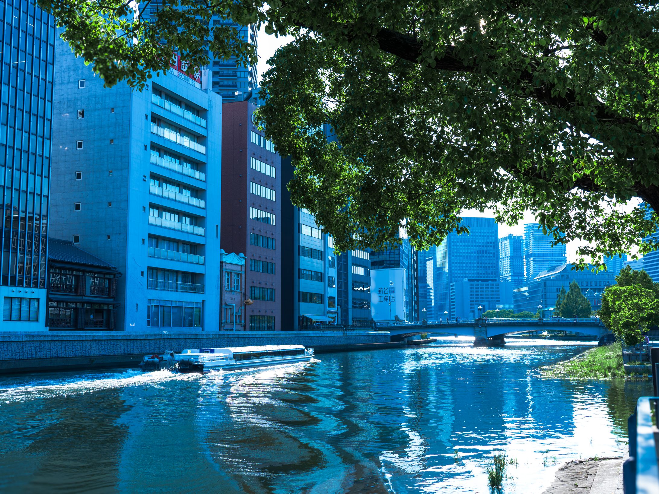 大阪 中之島 -関西屈指のビル街とそのそばを流れる川--1