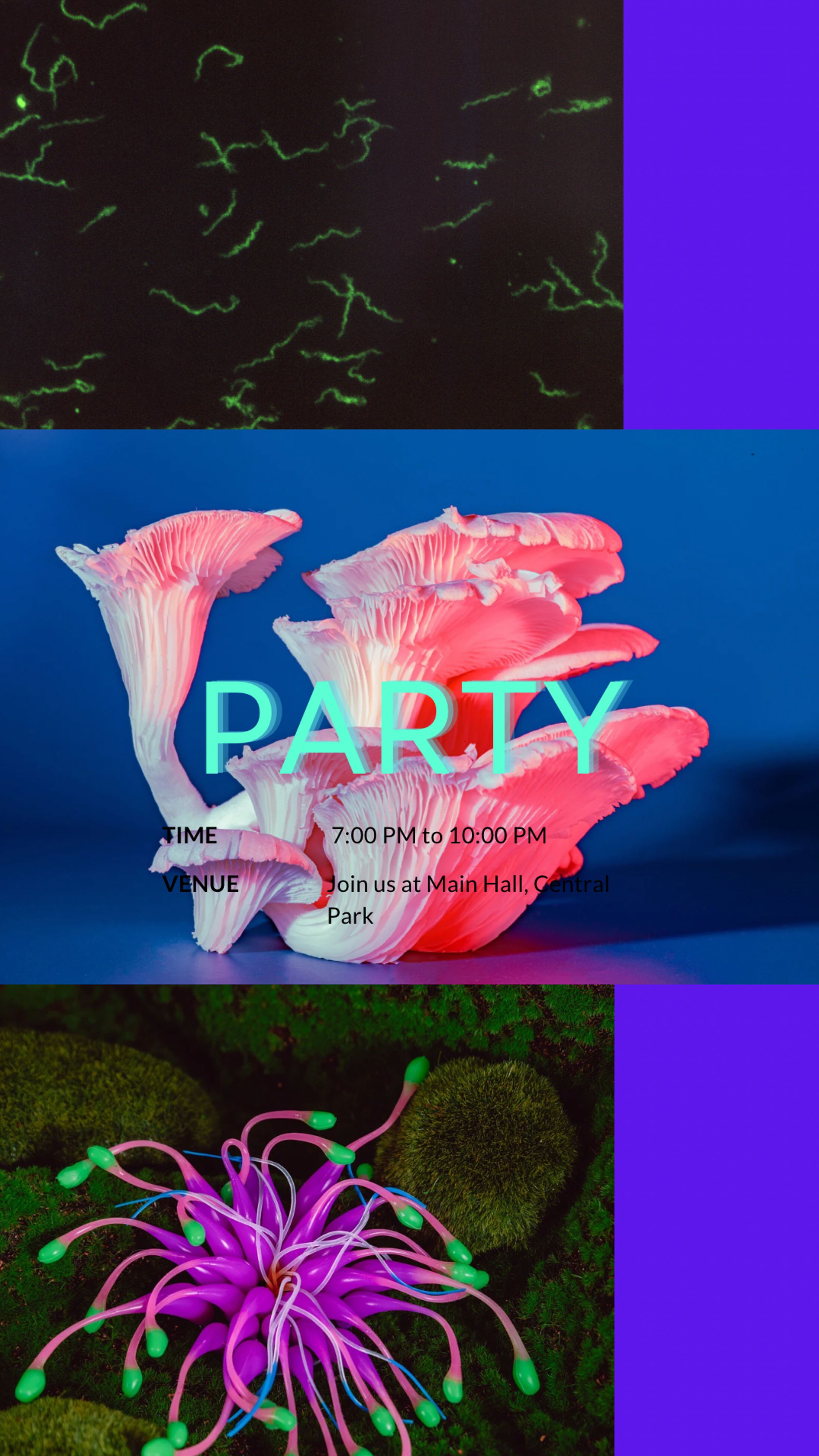 Party poster-1