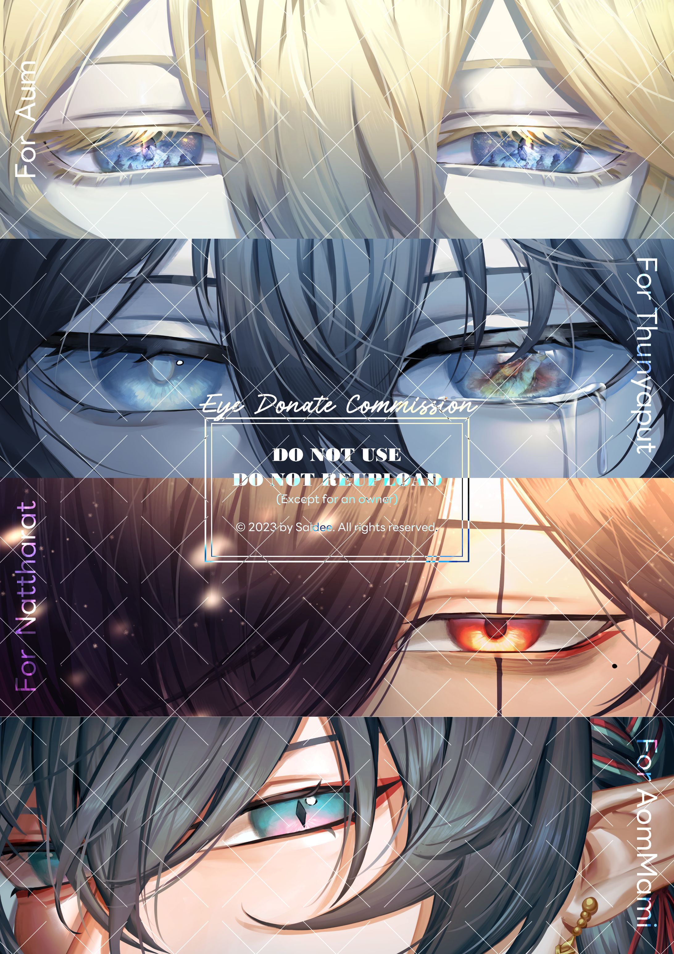 Eye Donate Commission #1-1