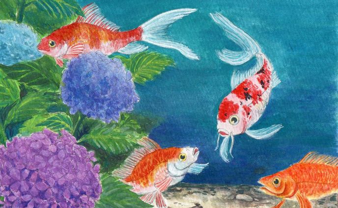 紫陽花と金魚と鯉