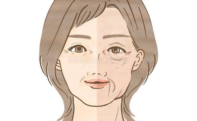 パンフレット、下江コハル(ブルアカ)