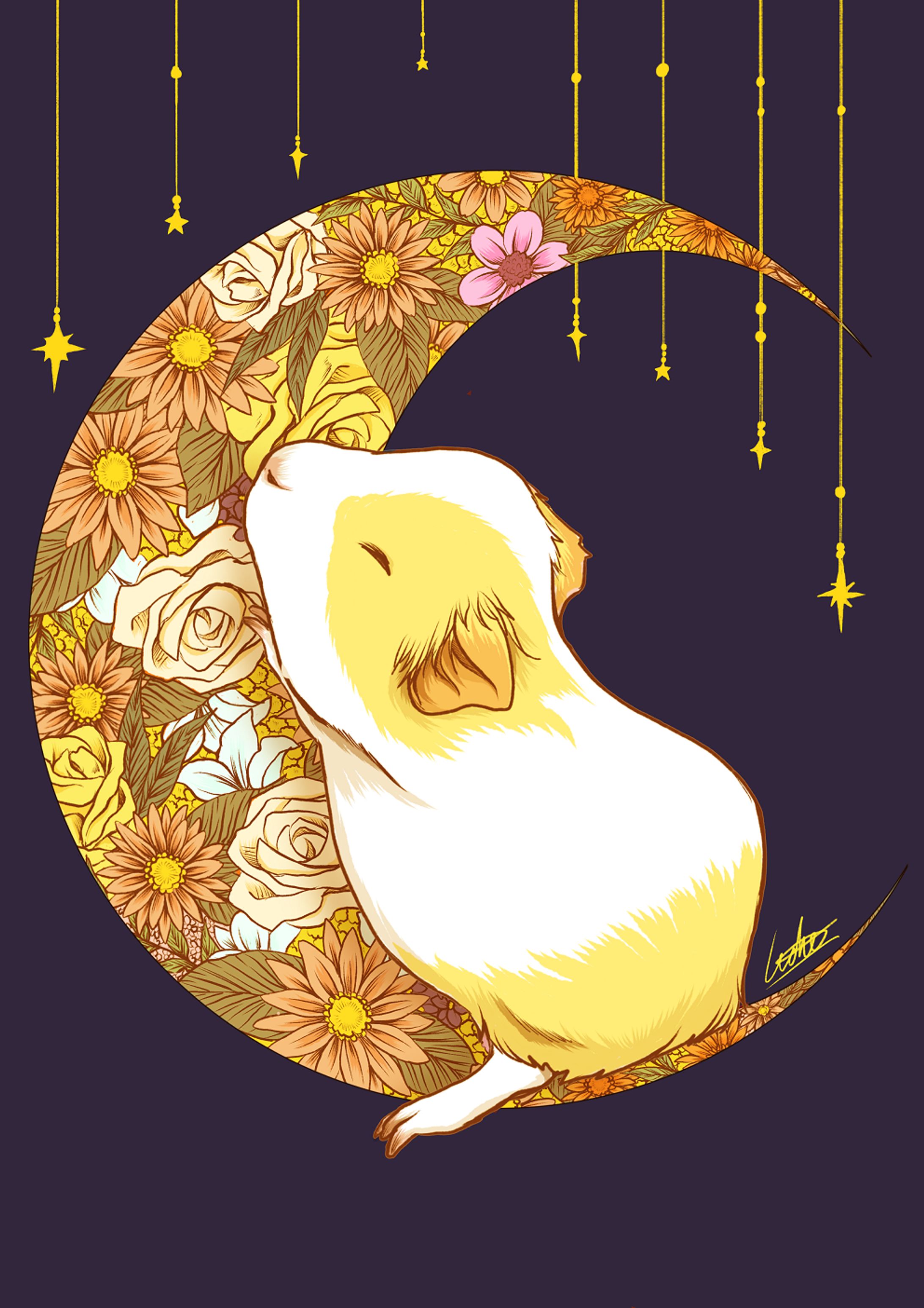 月とモルモット-1