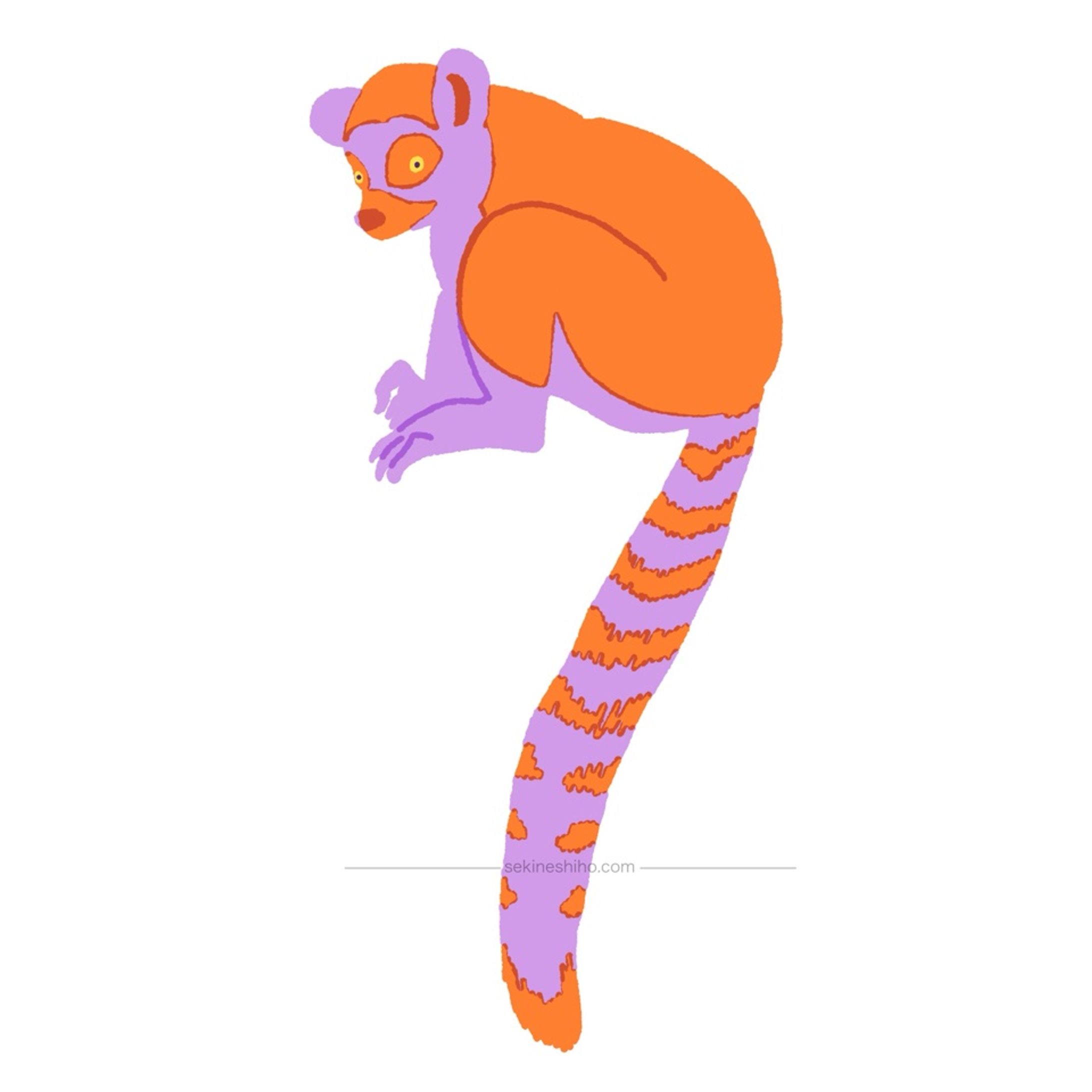 動物イラスト「ワオキツネザル」-1
