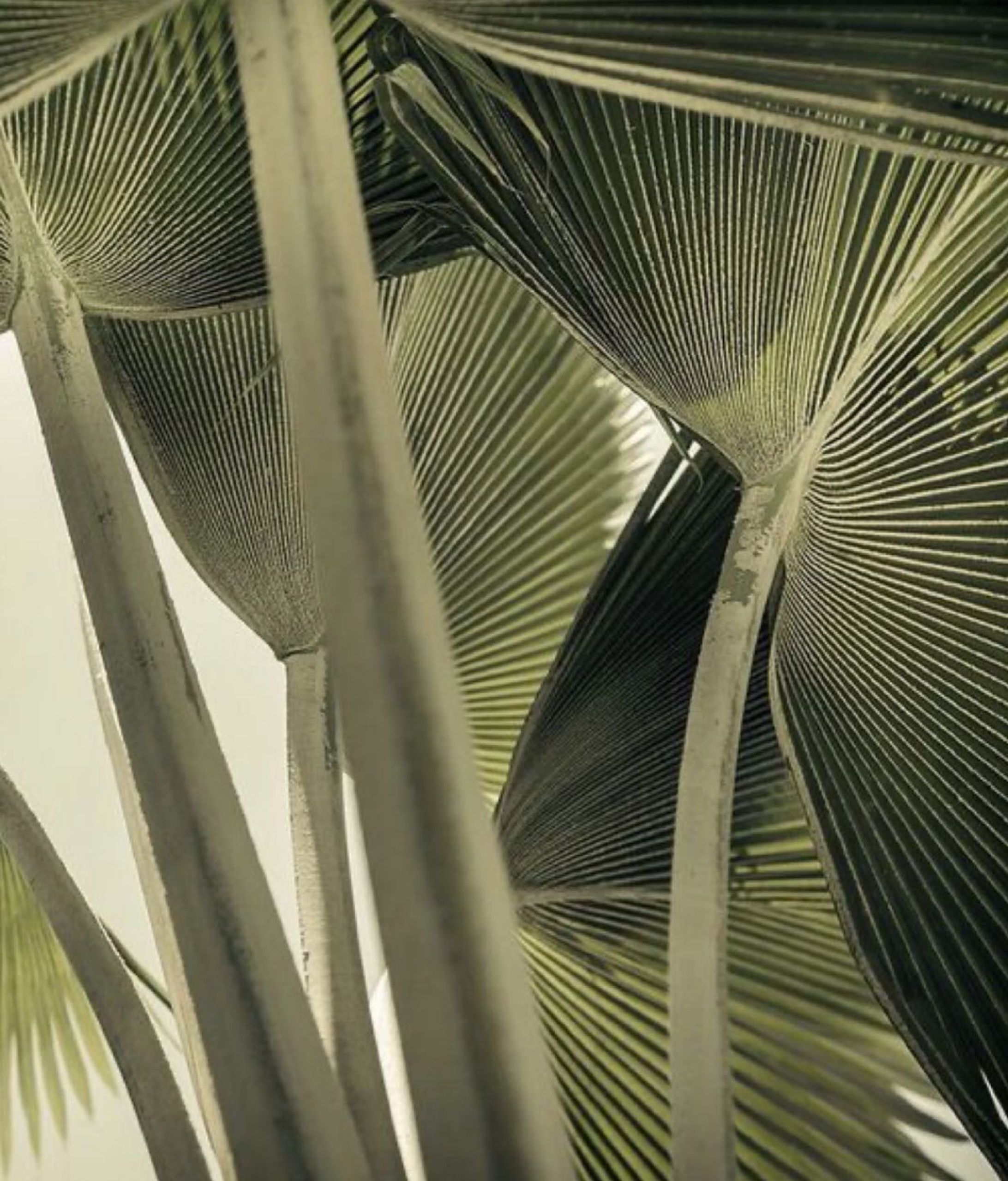 ii-minimal-lifeproduct🐚

#ミニマルライフ#minimal #機能的 #機能性 #シンプル-1