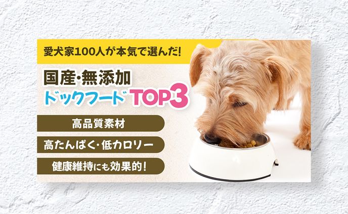 【アイキャッチ】ドックフード比較サイト