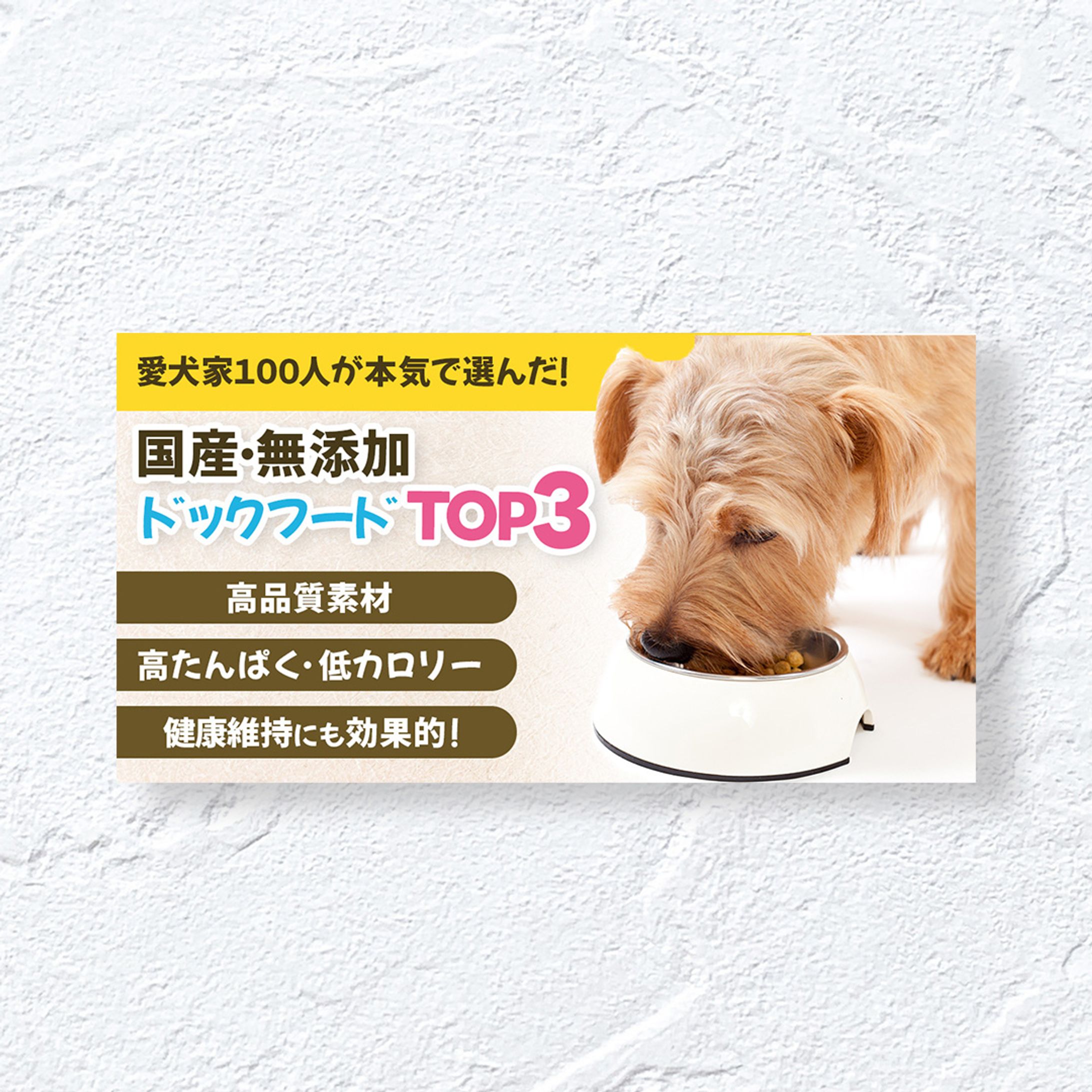 【アイキャッチ】ドックフード比較サイト-1