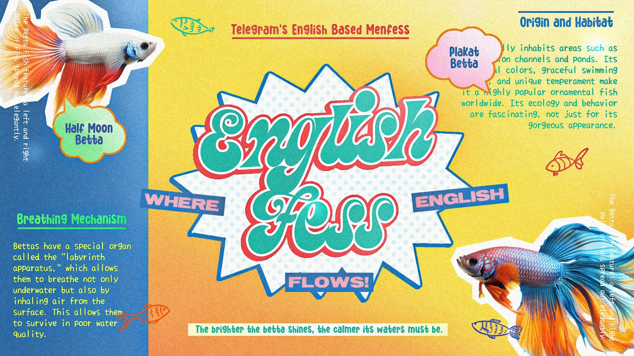 ENGLISH FESS.-1