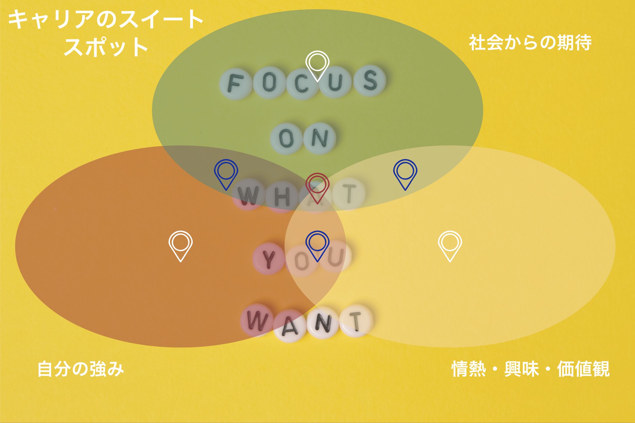 キャリア　マップ-1