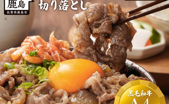 楽天商品ページ_佐賀牛切落としにく