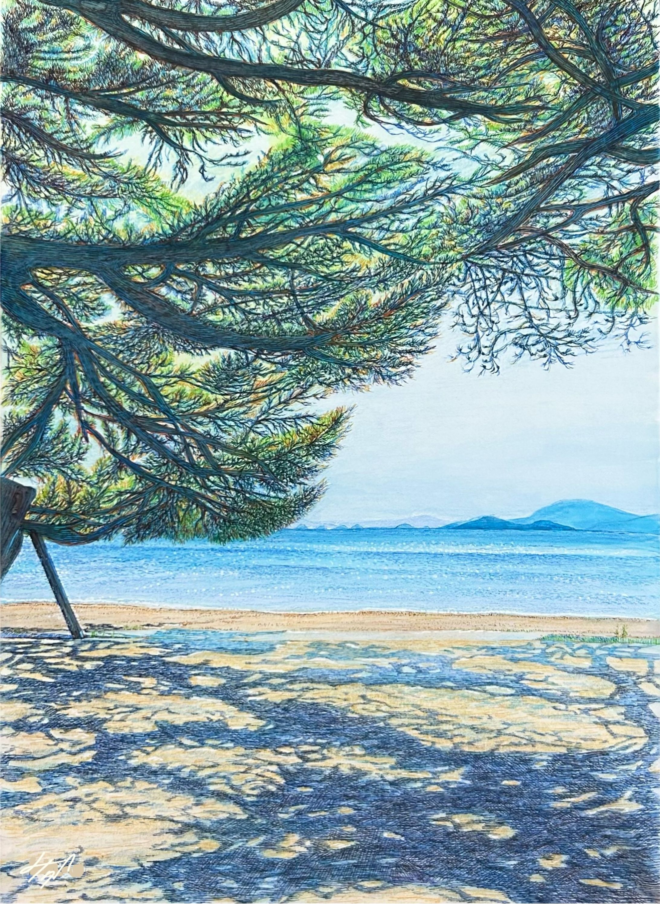 光の波音 2023.10-1