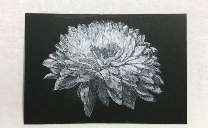 灰白の花　2021.11