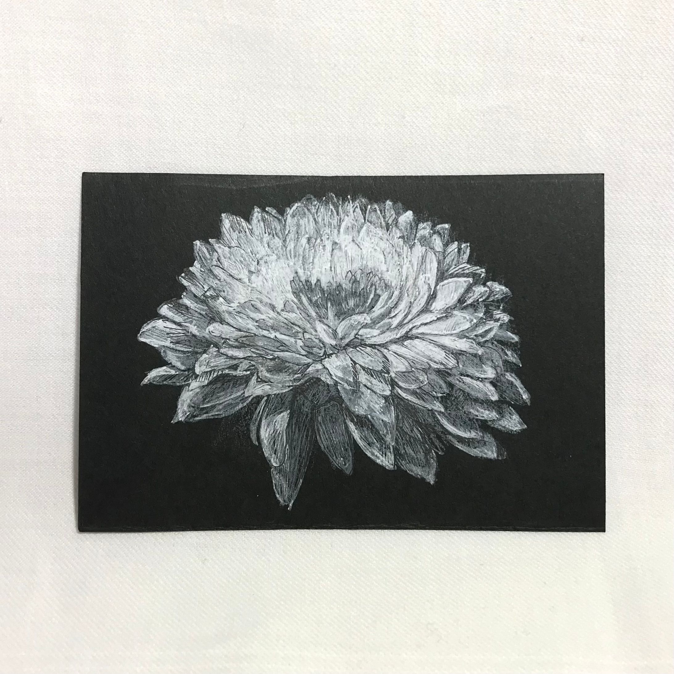 灰白の花　2021.11-1