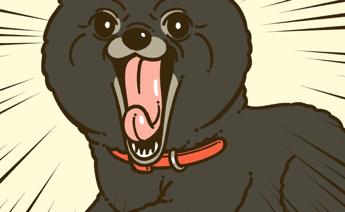イラストレーター、漫画家、ポストカード