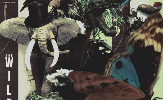 THE WILD