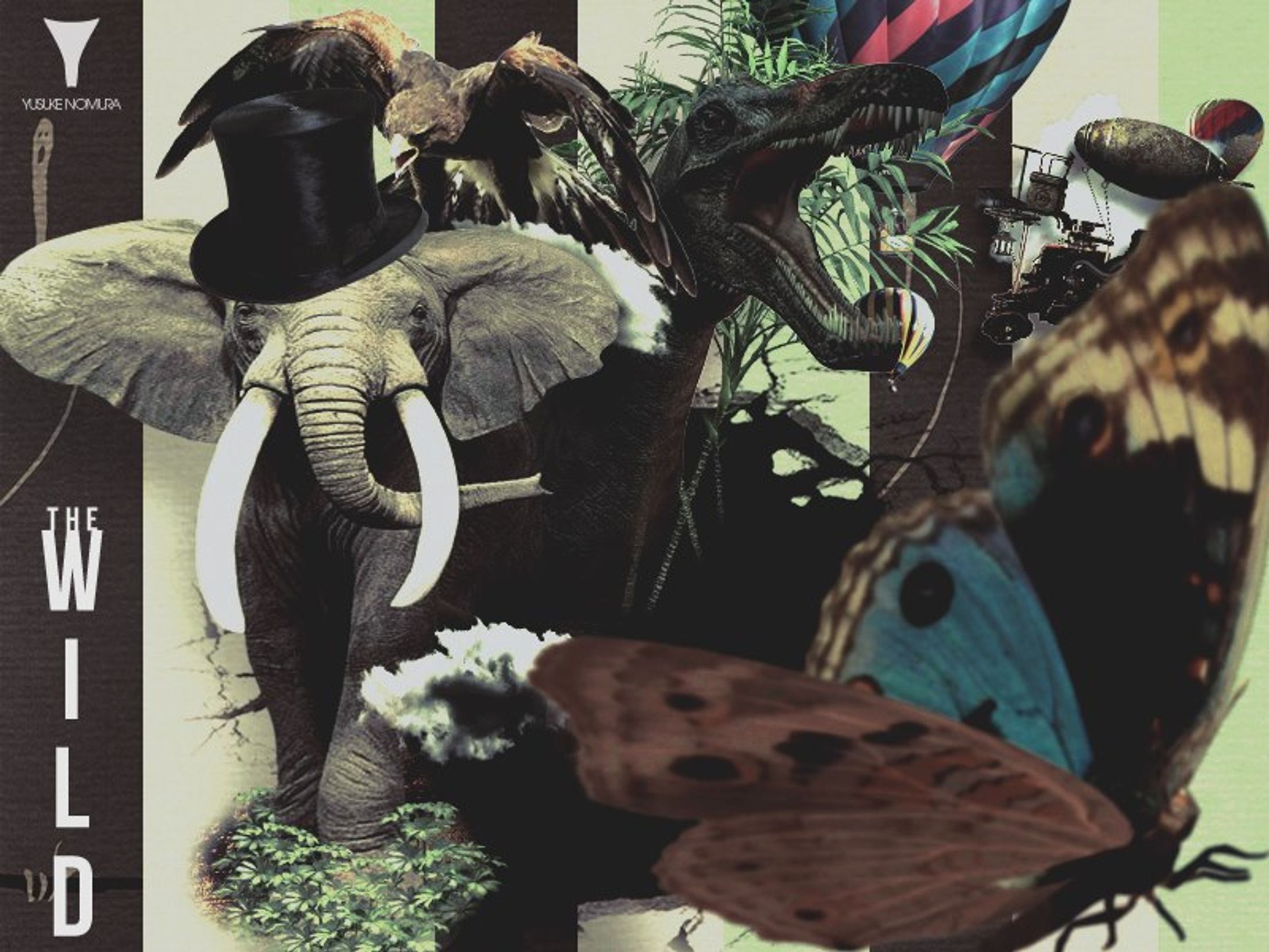 THE WILD-1