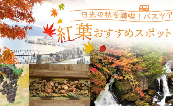 秋の紅葉バスツアーのバナー広告