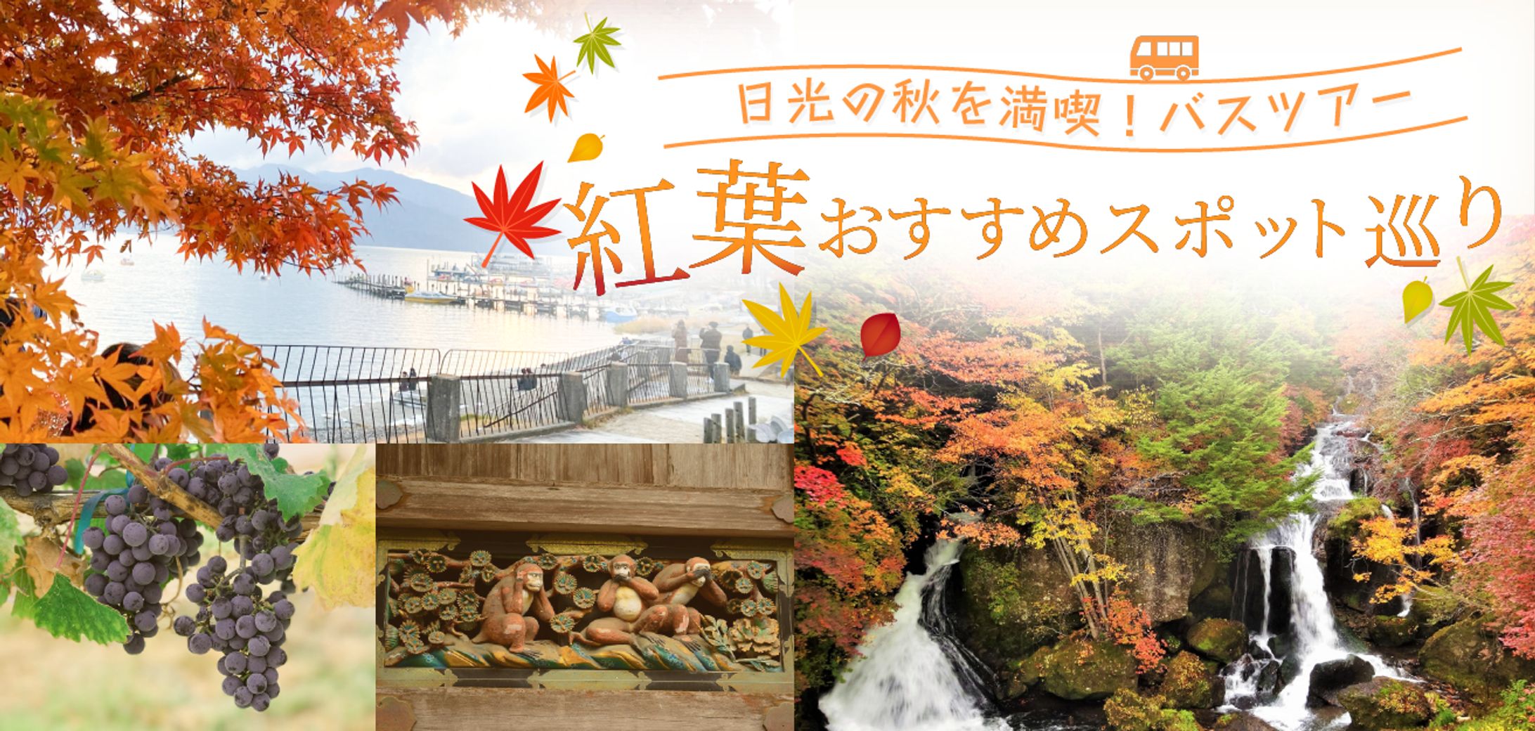 秋の紅葉バスツアーのバナー広告-1