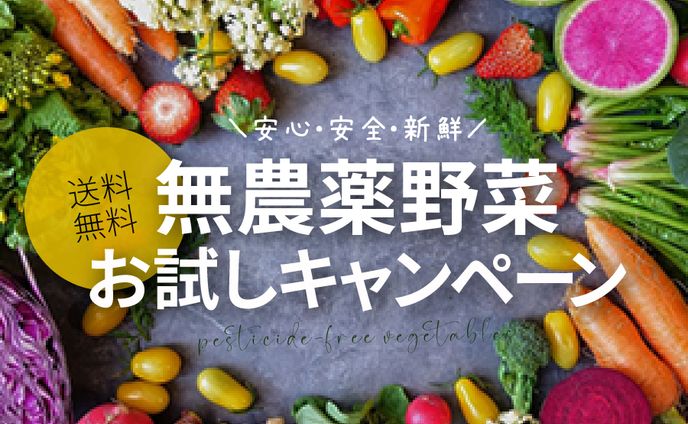 コンサルタント、バナー／サムネイル