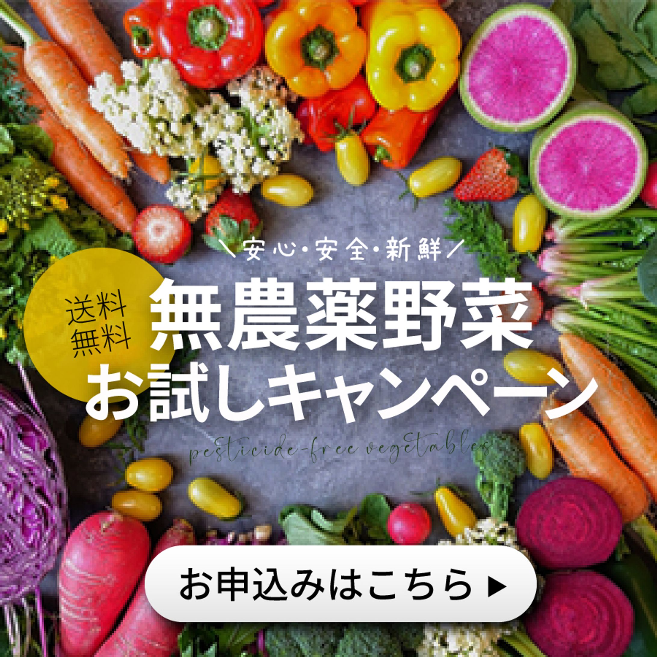 バナー【通販サイト】-1
