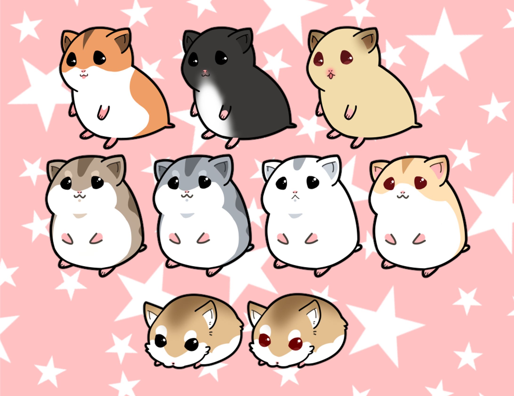 動物-1