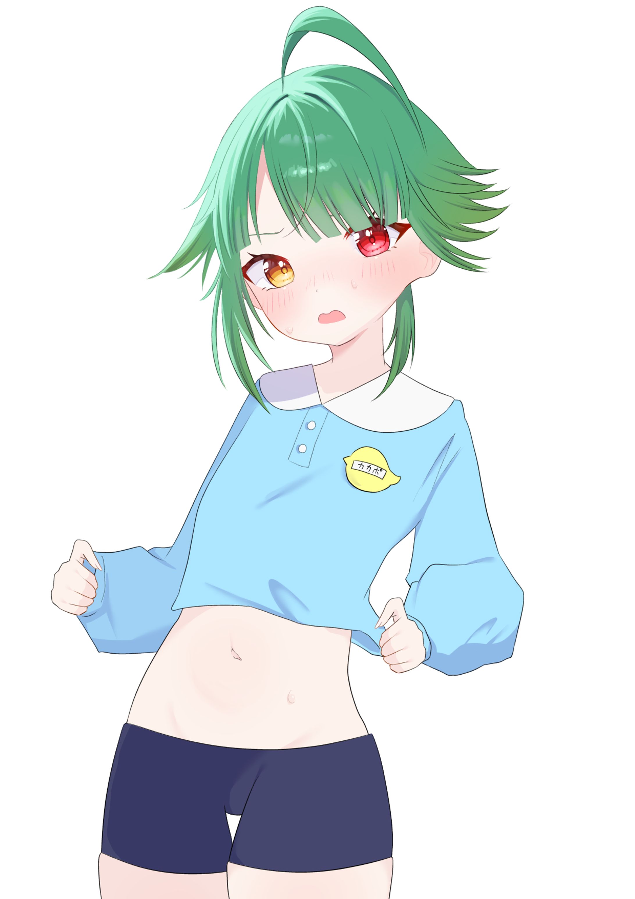 クエン酸カカポ 様-1