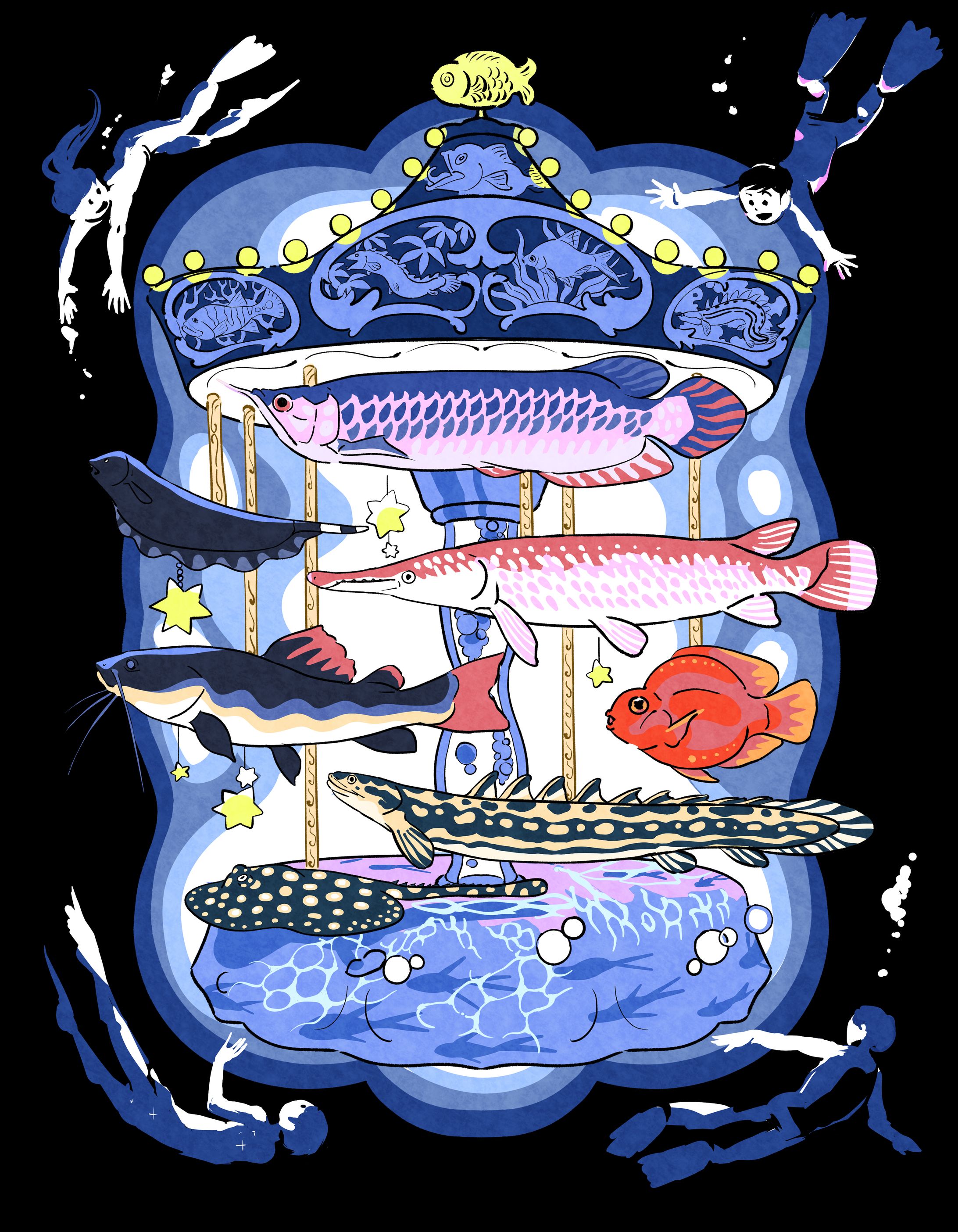 大型熱帯魚のメリーゴーランド-1