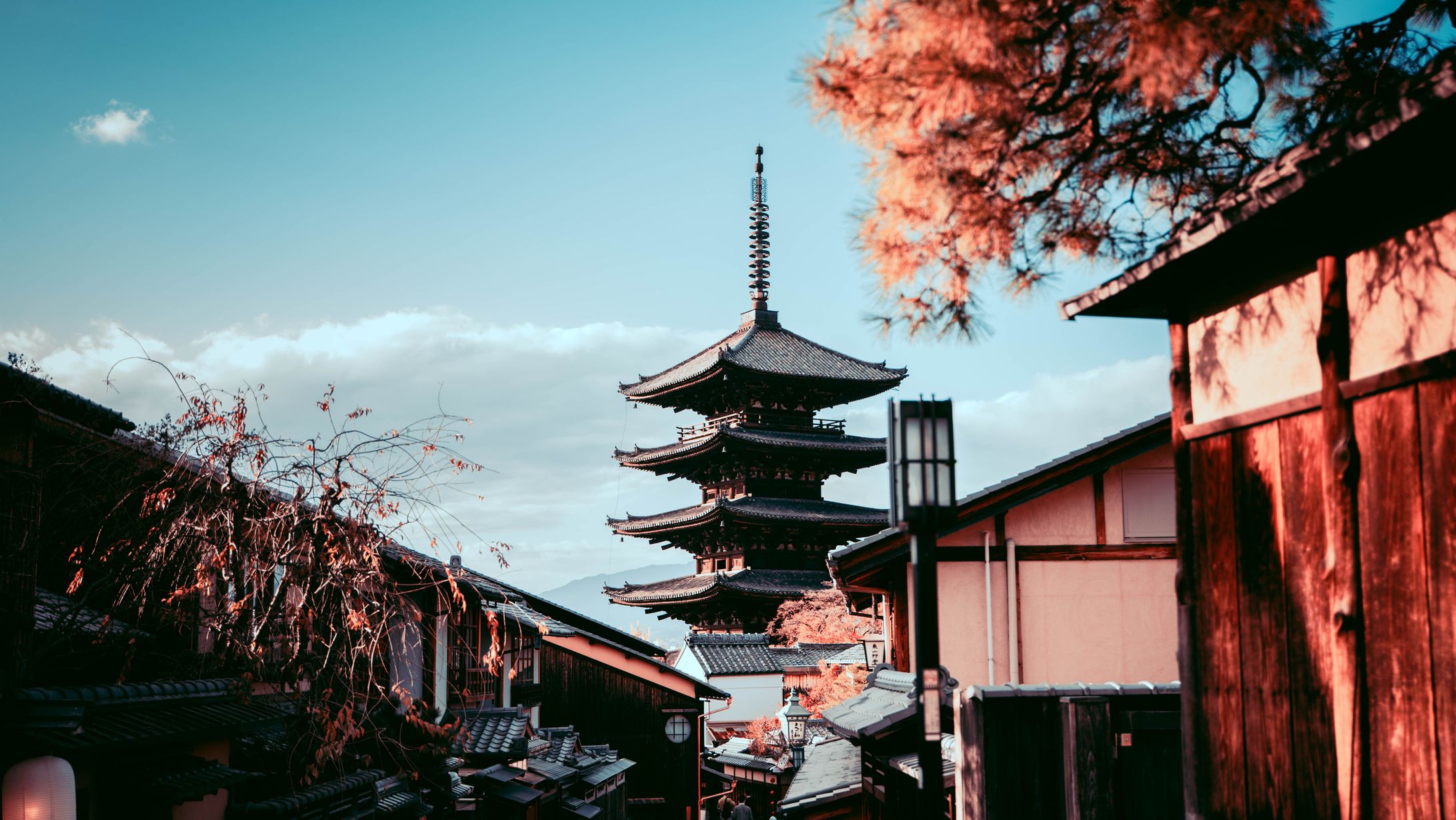 Photography - Kyoto Travel Photography-1